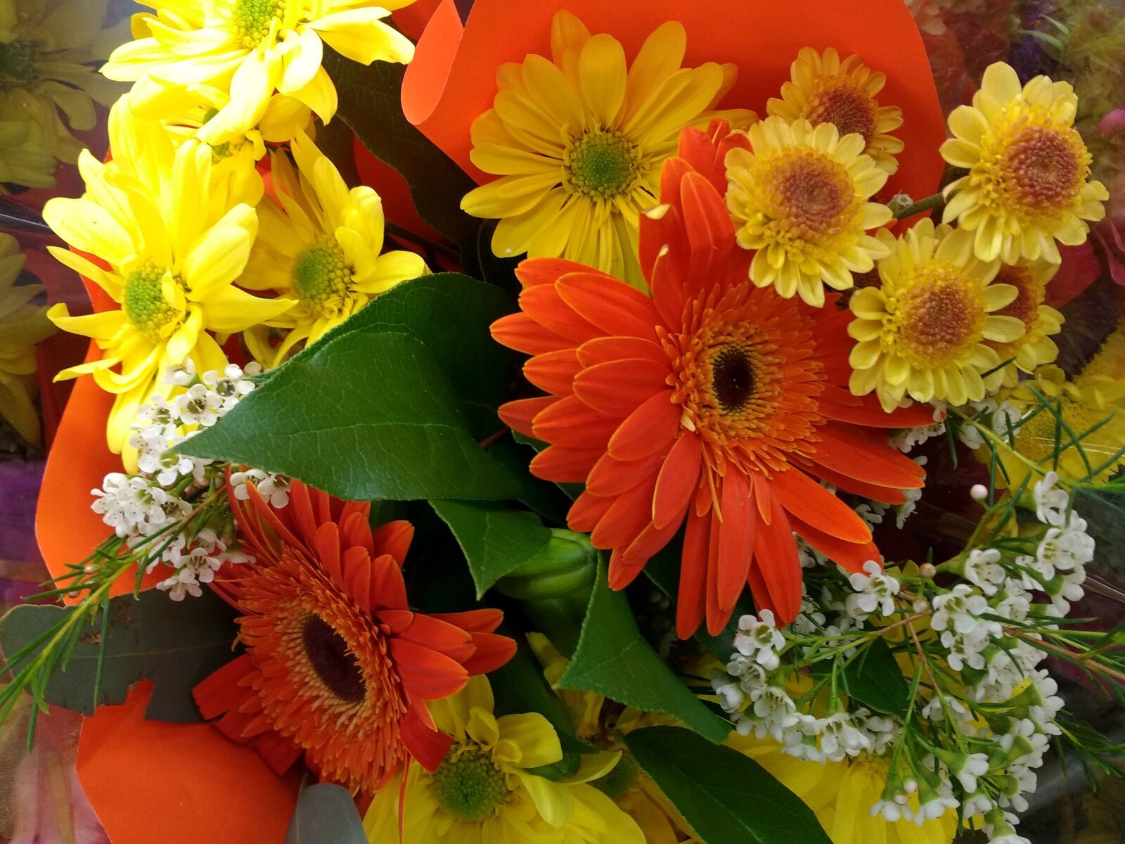 Motorola MotoG3 sample photo. Flower, bouquet, sunflower, flora photography