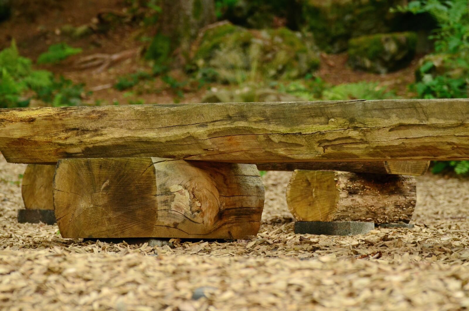 Nikon D5100 sample photo. Seat, wooden bench, forest photography