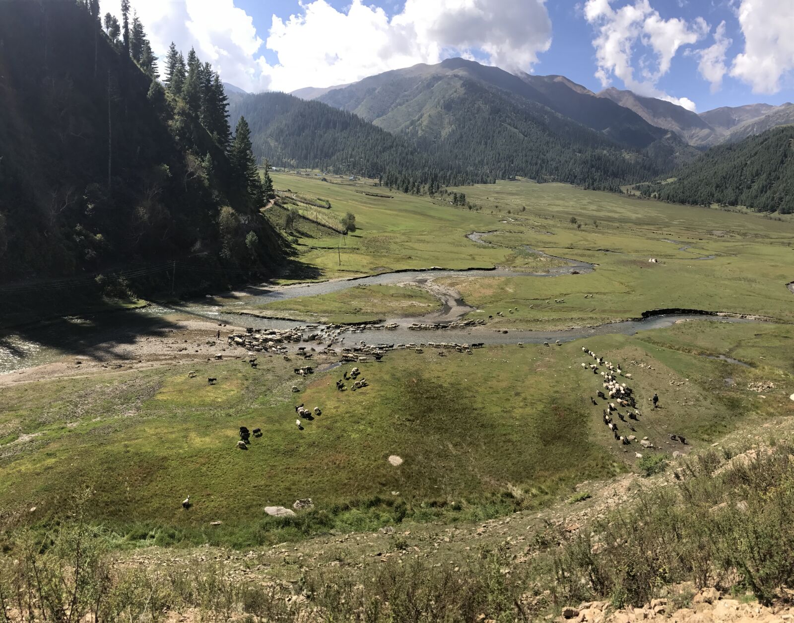 iPhone 7 back camera 3.99mm f/1.8 sample photo. Nature, jumla, rara photography