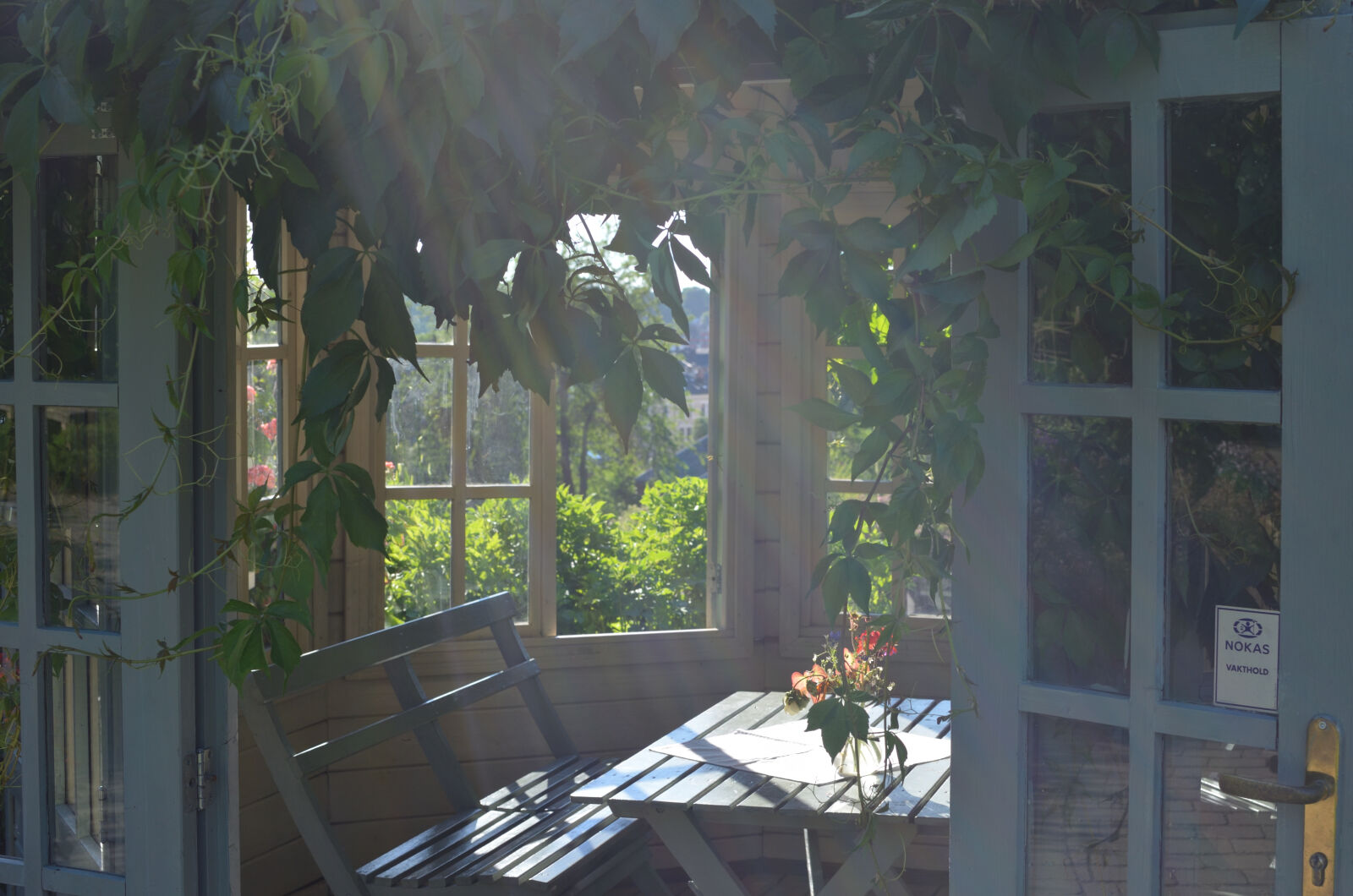 Nikon D5100 sample photo. Plants, sunshaft photography