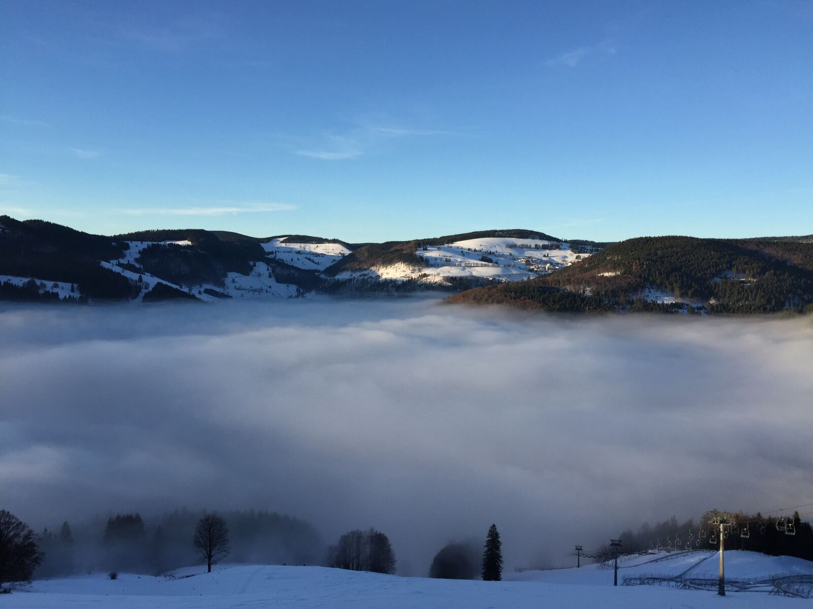 Apple iPhone 6 sample photo. Fog, winter, winter mood photography