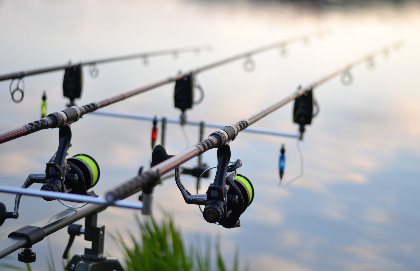 Nikon D3100 sample photo. Fishing, fish, pond photography