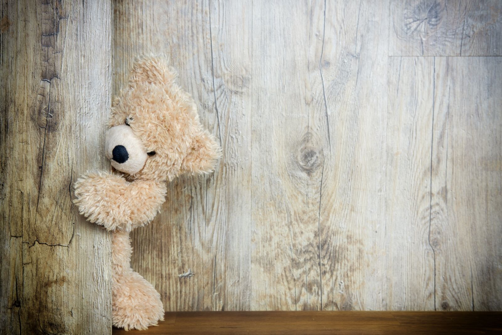 Fujifilm X-T2 + Fujifilm XF 35mm F2 R WR sample photo. Bear, teddy bear, cuddly photography