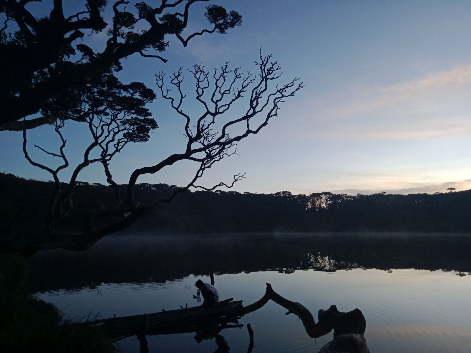 OPPO A5S sample photo. Lake, tree, sunrise photography