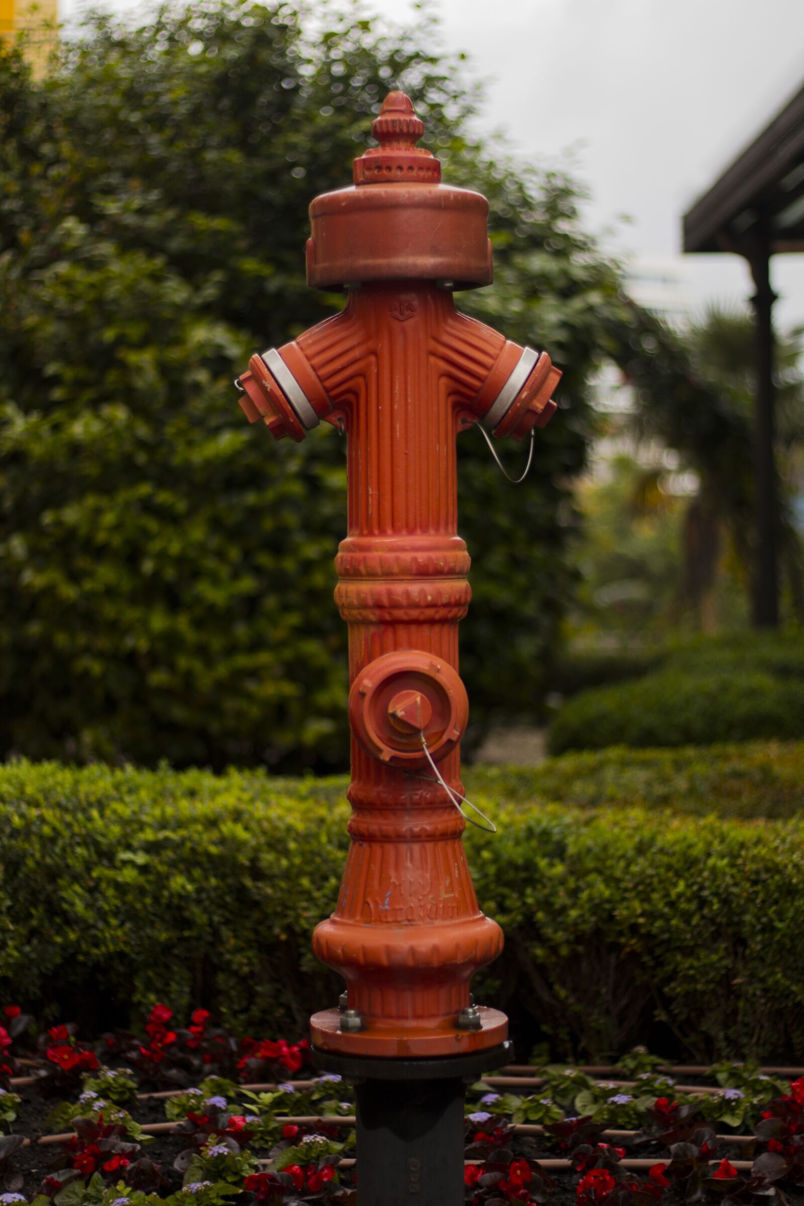 Canon EOS 70D + Canon EF 50mm F1.8 STM sample photo. Water, red, fire photography