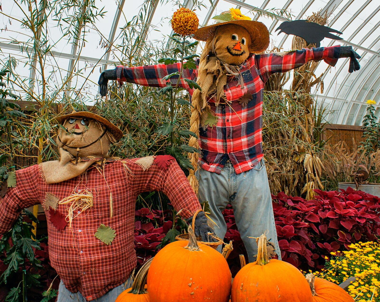 Sony E 16mm F2.8 sample photo. Scarecrow, pumpkins, autumn photography