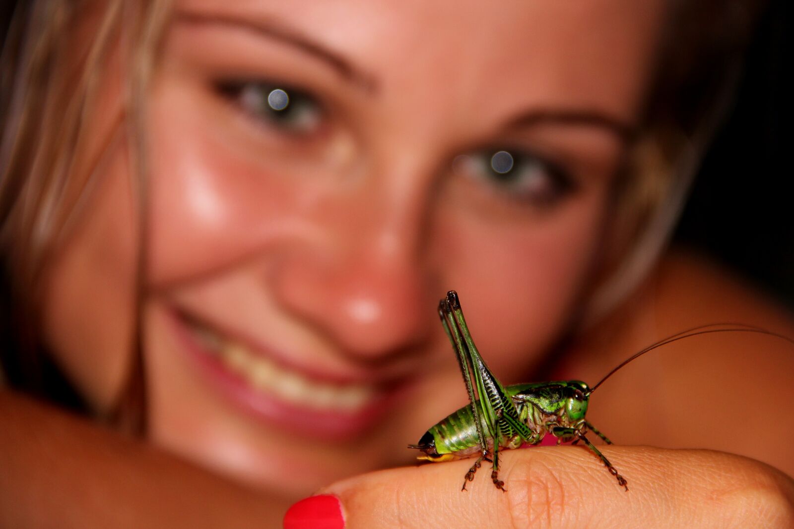 Canon EOS 600D (Rebel EOS T3i / EOS Kiss X5) sample photo. Grasshopper, beetle, green photography