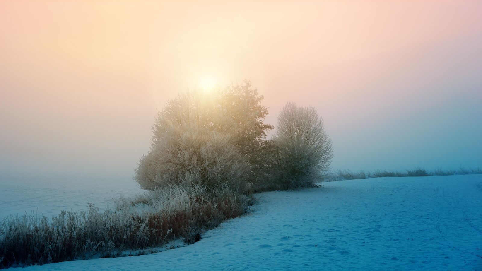 Sony a7 + Sony DT 50mm F1.8 SAM sample photo. Winter, fog, sun photography