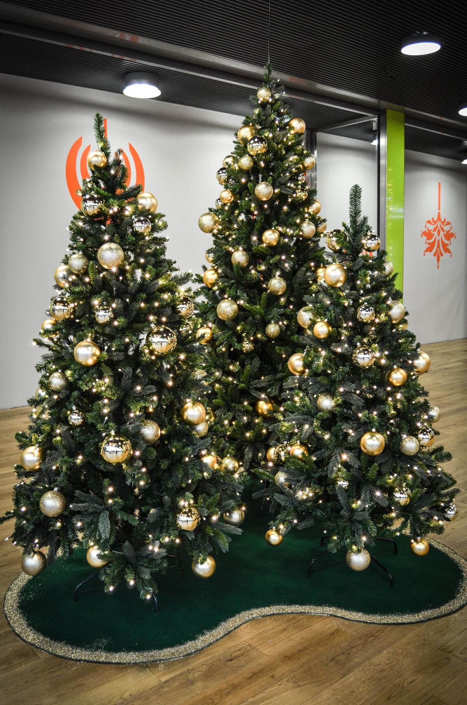 Nikon D5100 sample photo. Fir tree, christmas, new photography