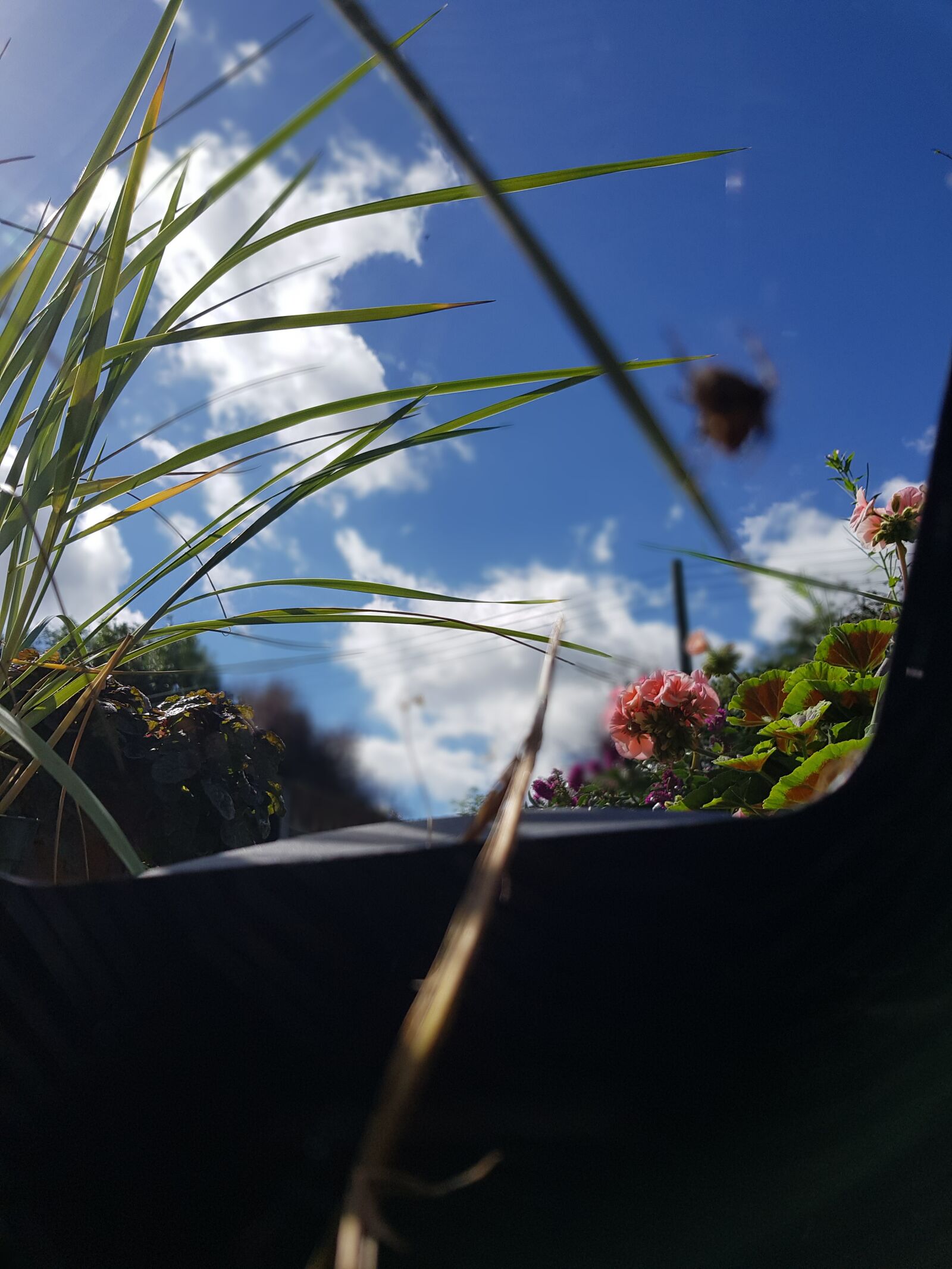 Samsung SM-G955F sample photo. Blue sky, clouds, spider photography