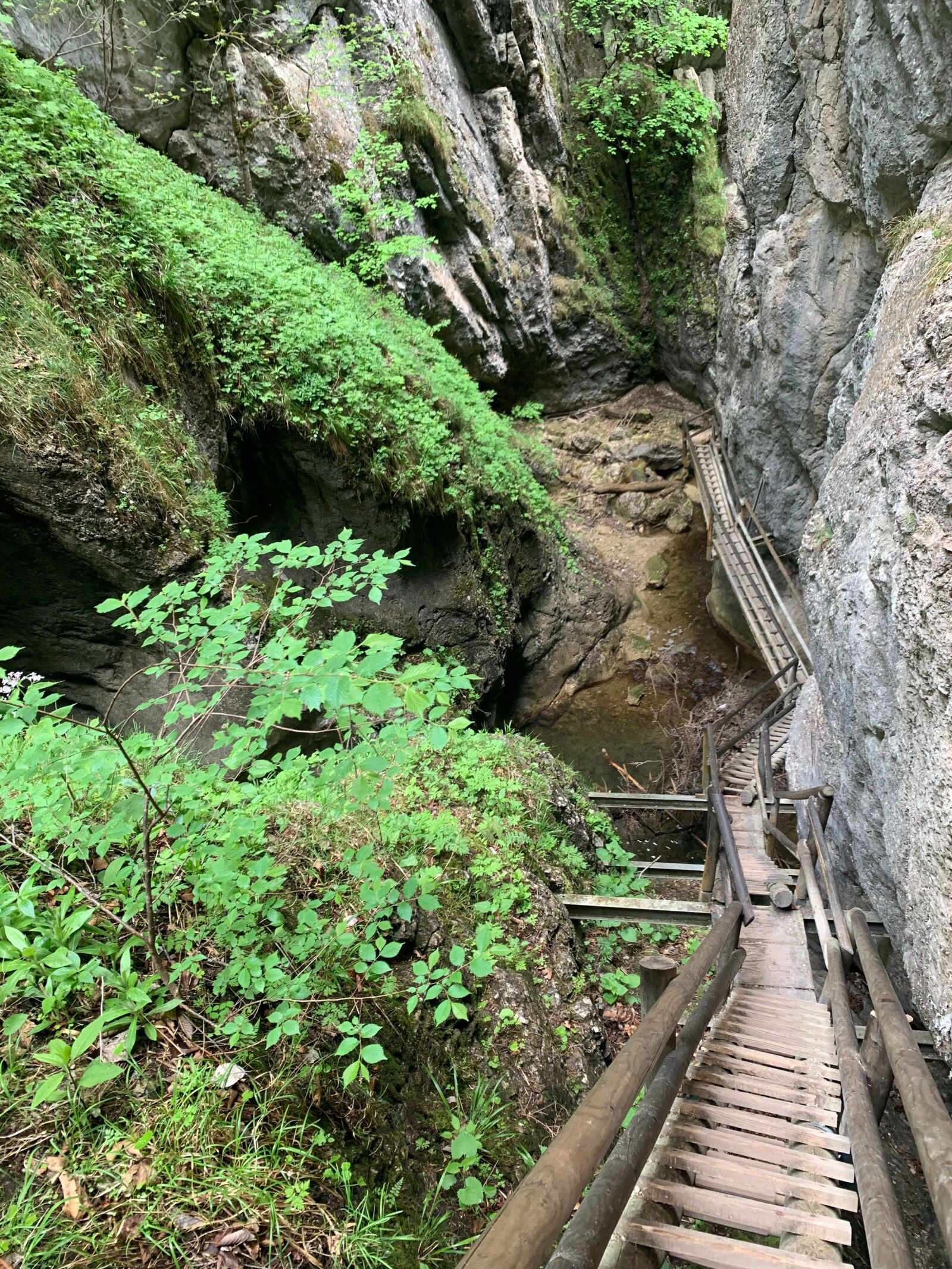 iPhone XS Max back dual camera 4.25mm f/1.8 sample photo. 風景, 人物, 飲食 photography