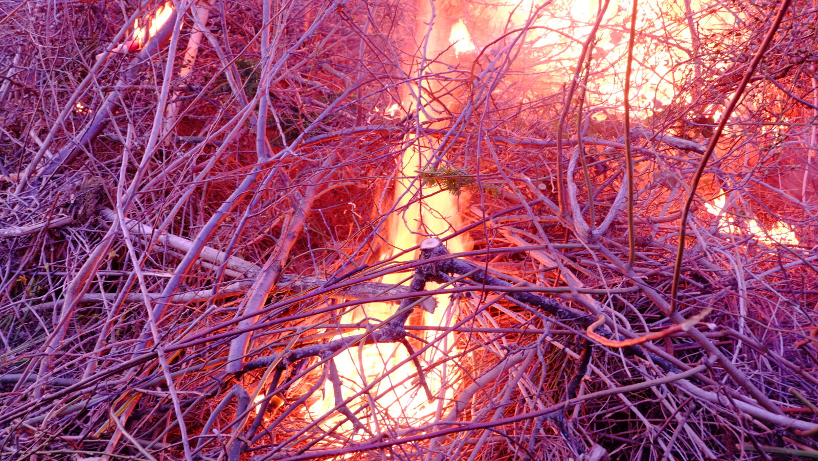 Fujifilm X-M1 sample photo. Bonfire, fire, gray, stockholm photography