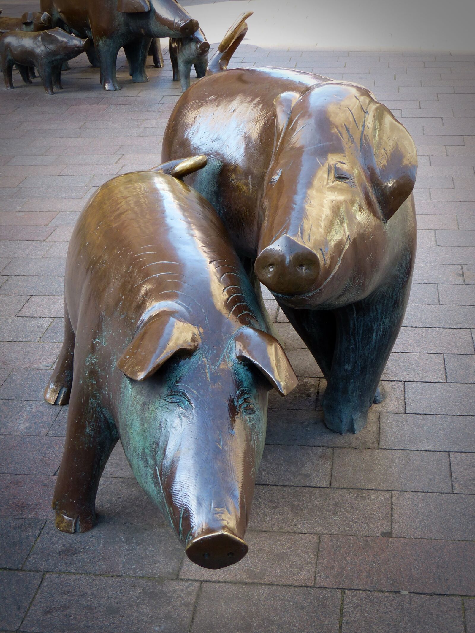 Panasonic Lumix DMC-FZ200 sample photo. Sculpture, pigs, bronze photography