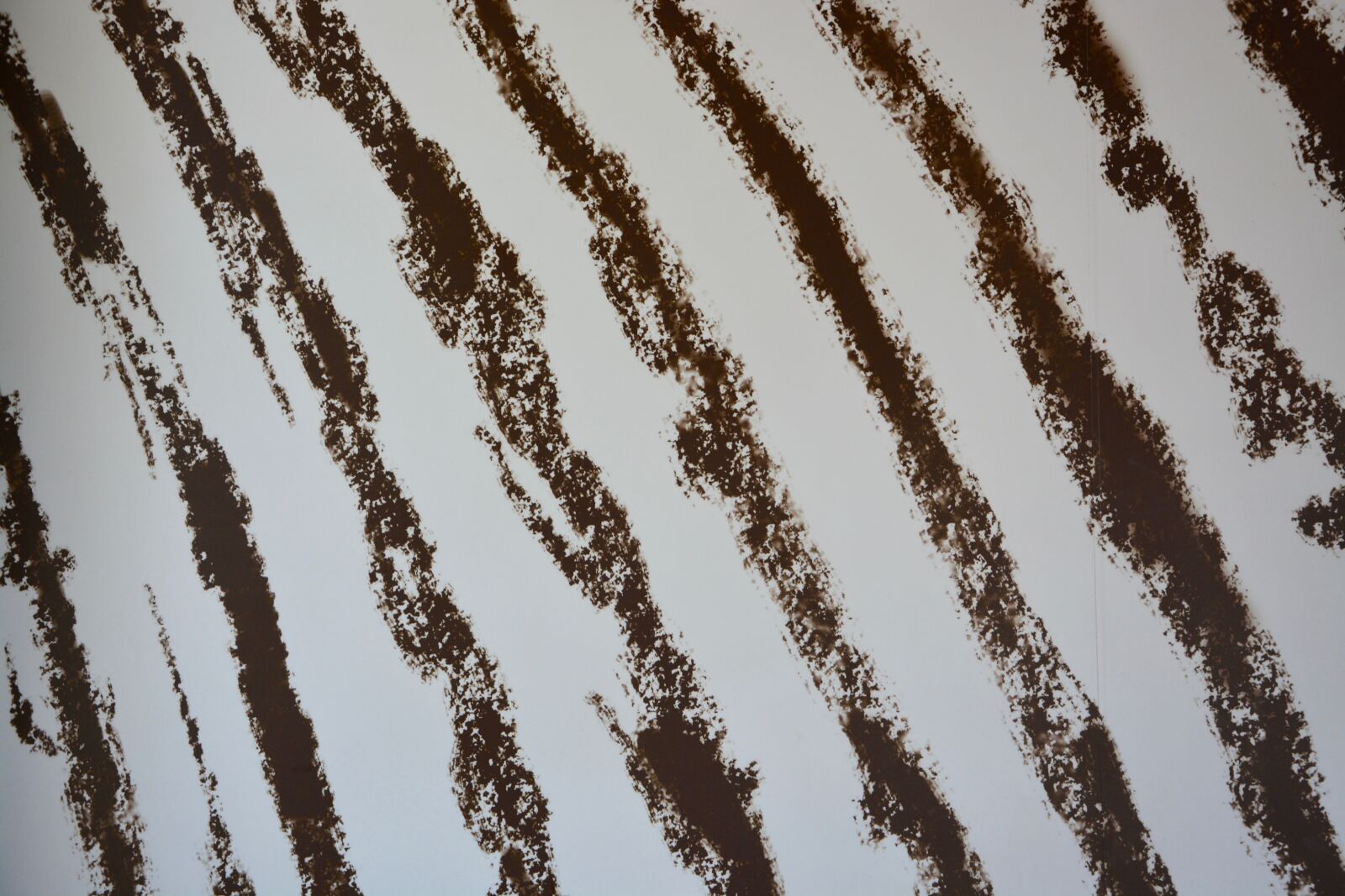 Nikon D5200 sample photo. Wallpaper, paper pattern zebra photography