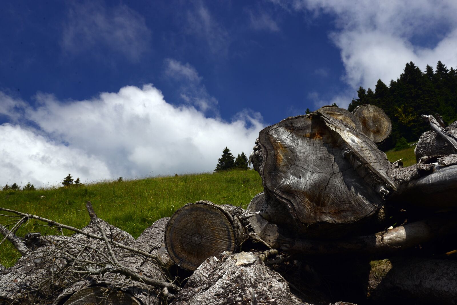 Nikon D610 sample photo. Landscape, wood, cloud photography