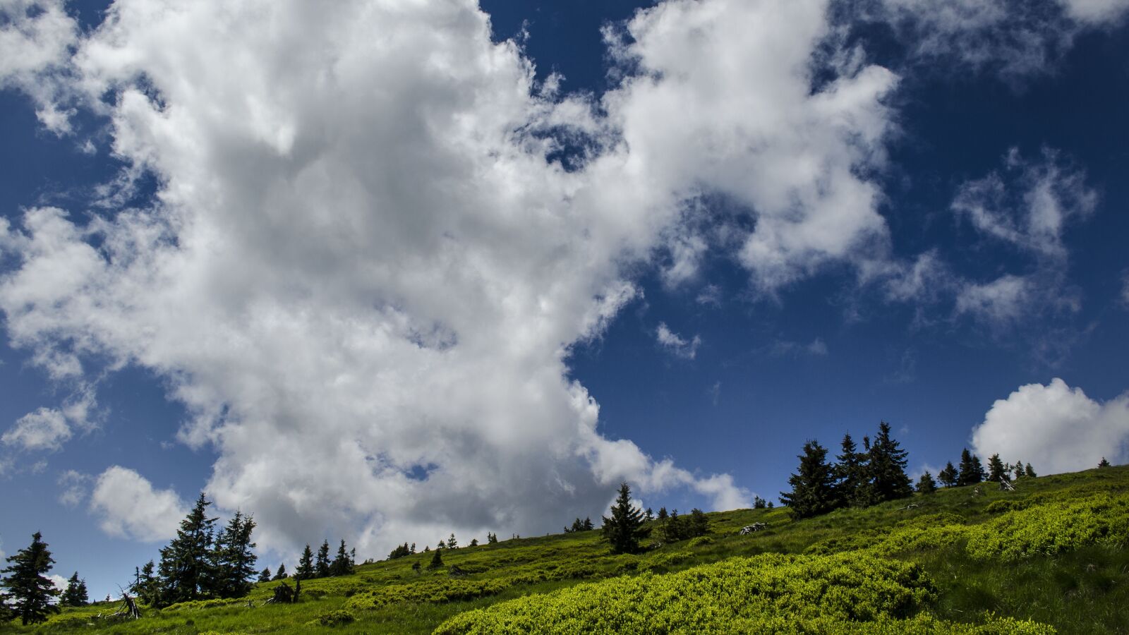 Nikon D5100 sample photo. Nature, sky, clouds photography