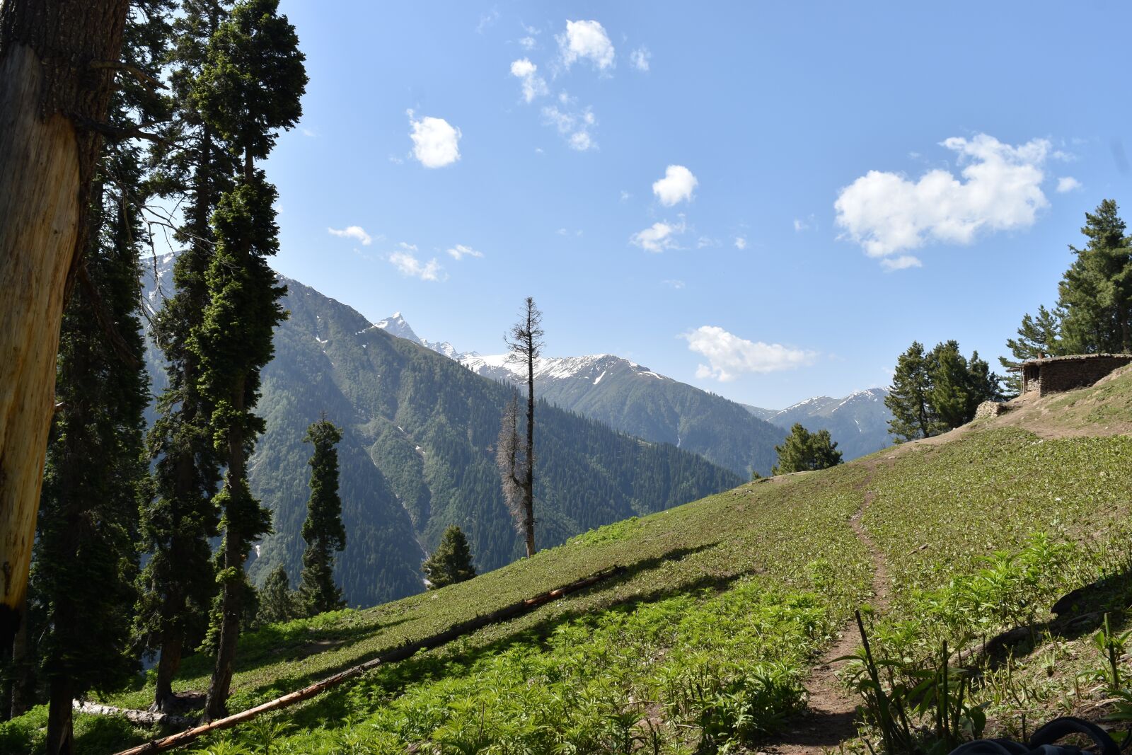 Nikon D5500 sample photo. Srinagar, kashmir, water photography