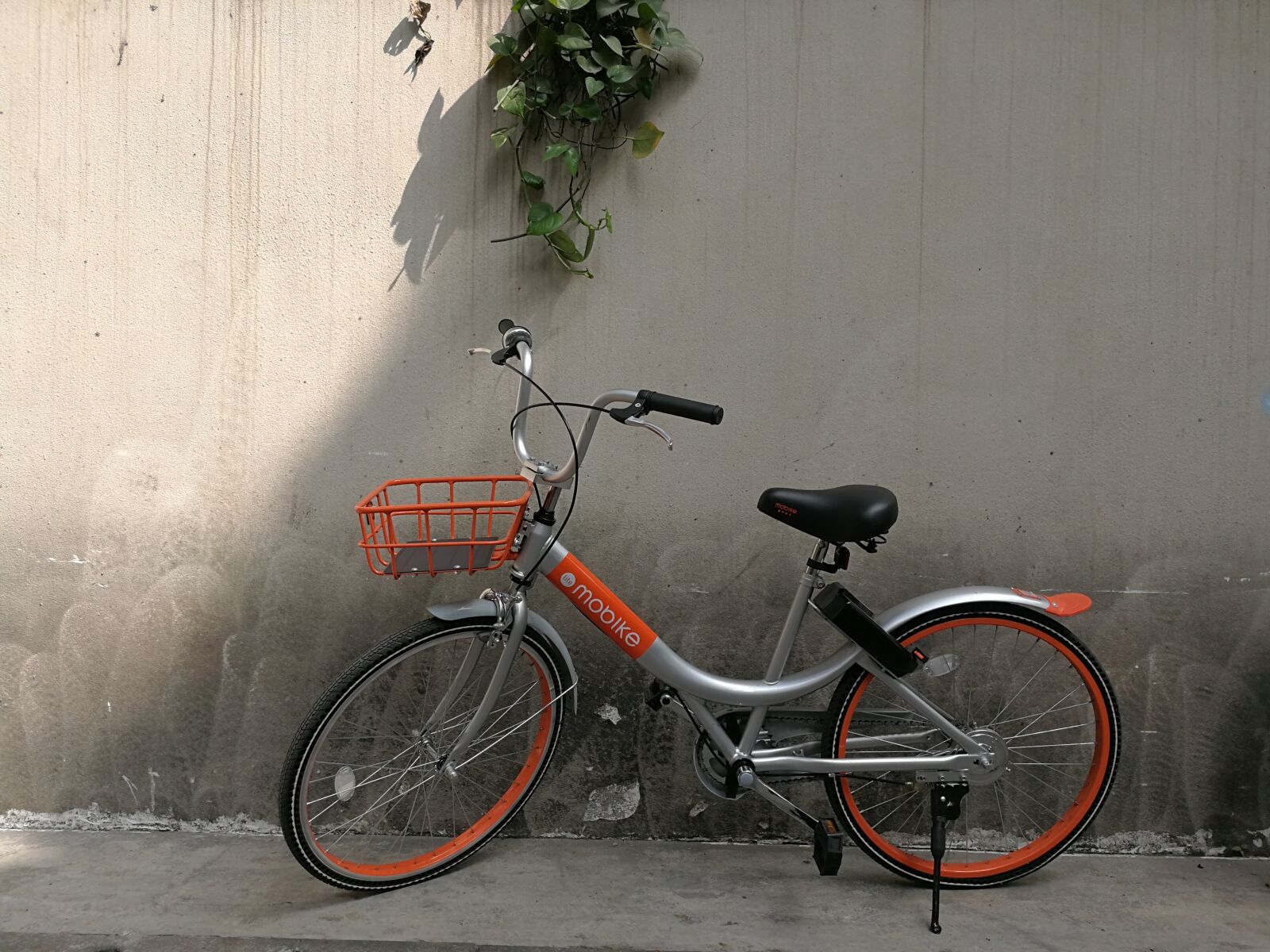 HUAWEI Mate 9 sample photo. Bicycle, mount worship, shared photography