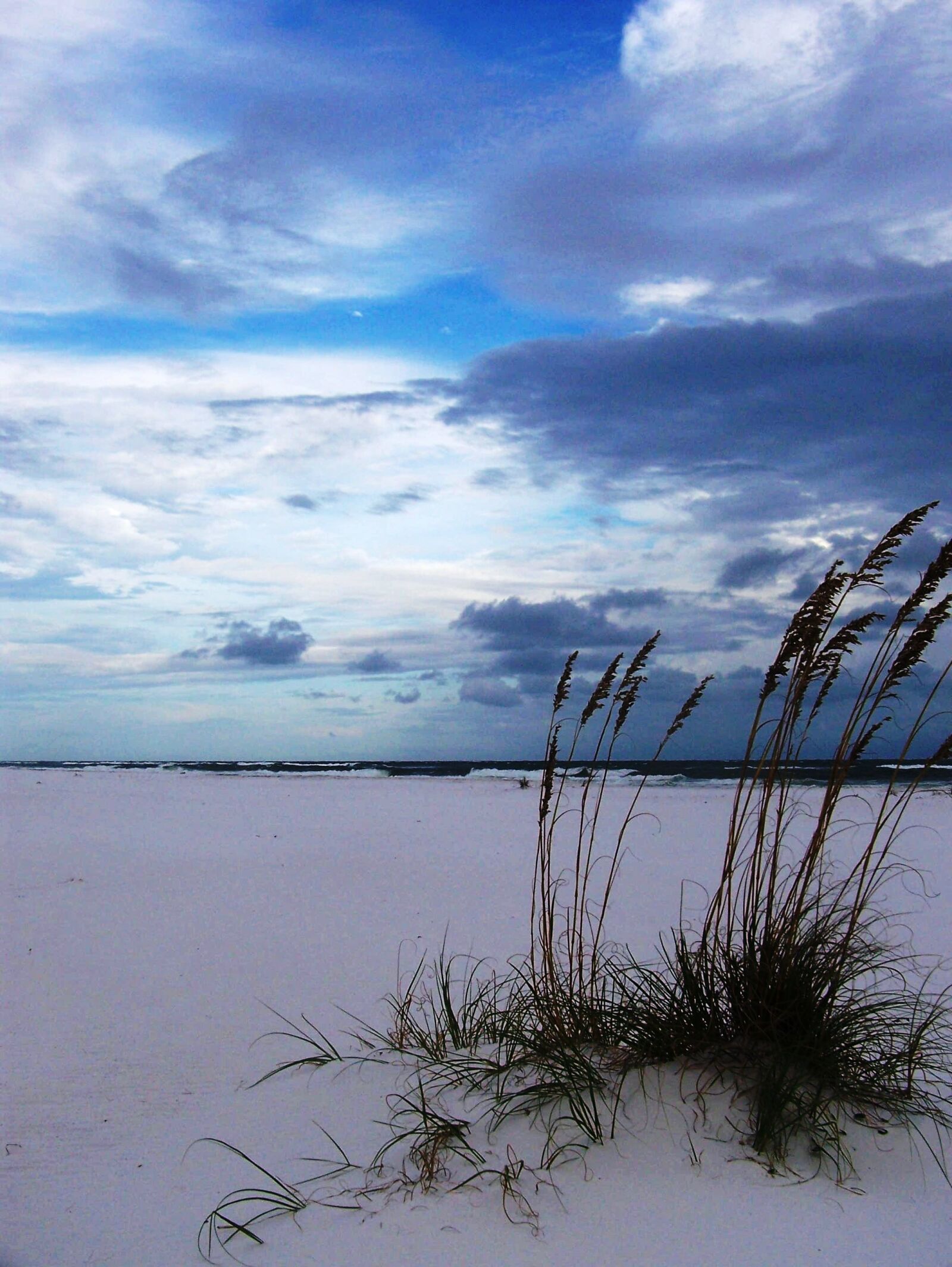 Kodak Z612 ZOOM DIGITAL CAMERA sample photo. Beach, hurricane, sand photography