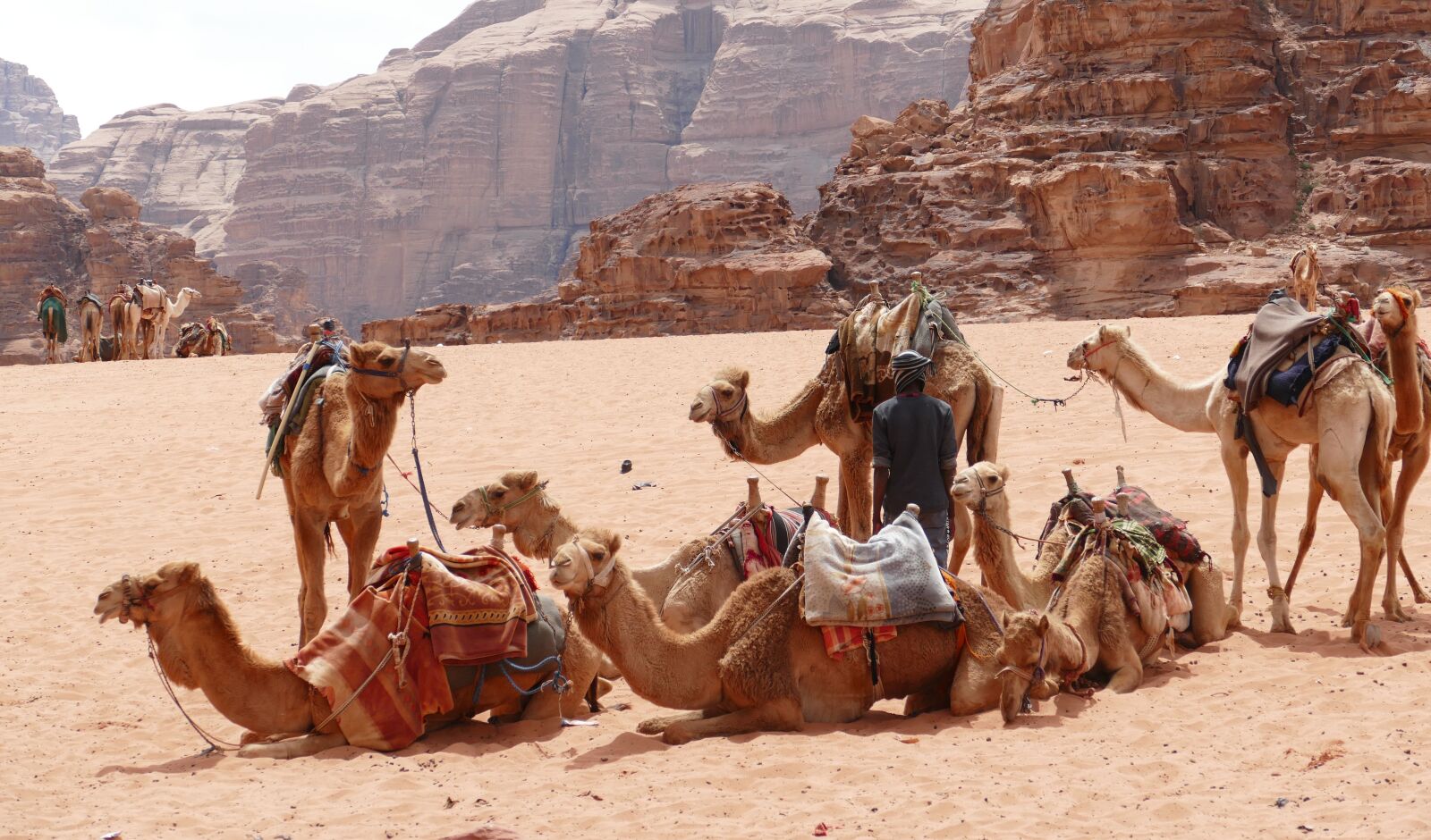 Panasonic Lumix DMC-FZ1000 sample photo. Jordan, wadi rum, desert photography