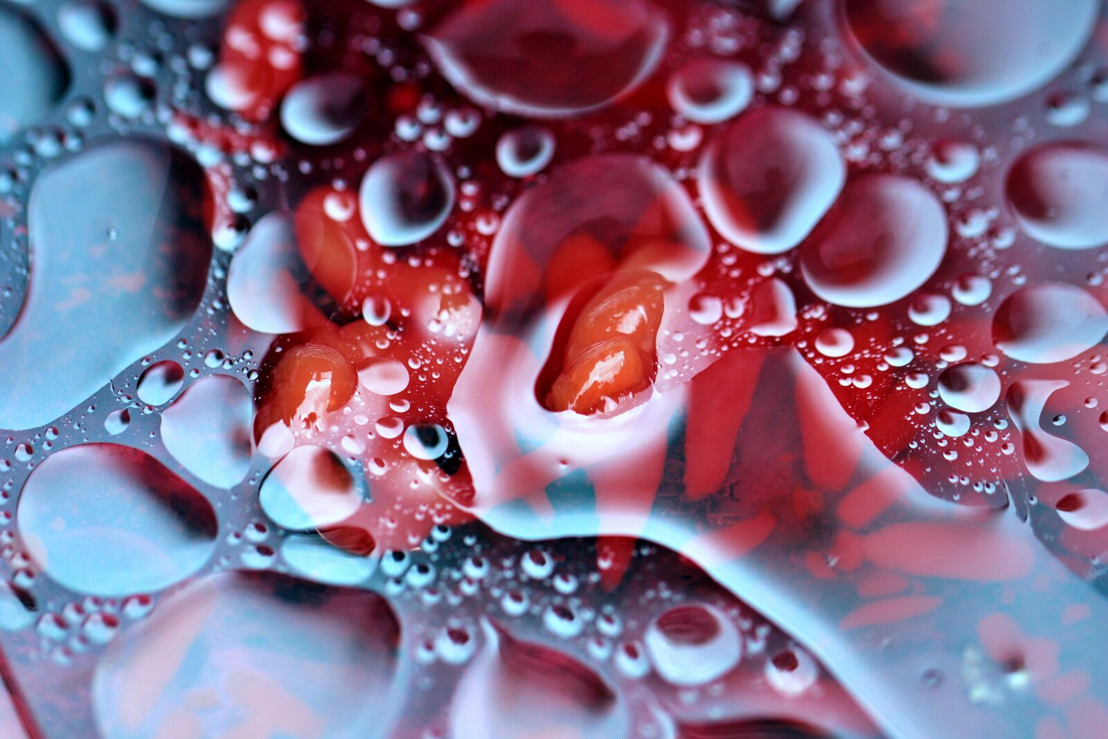 Canon EOS 80D sample photo. Abstract, art, texture photography