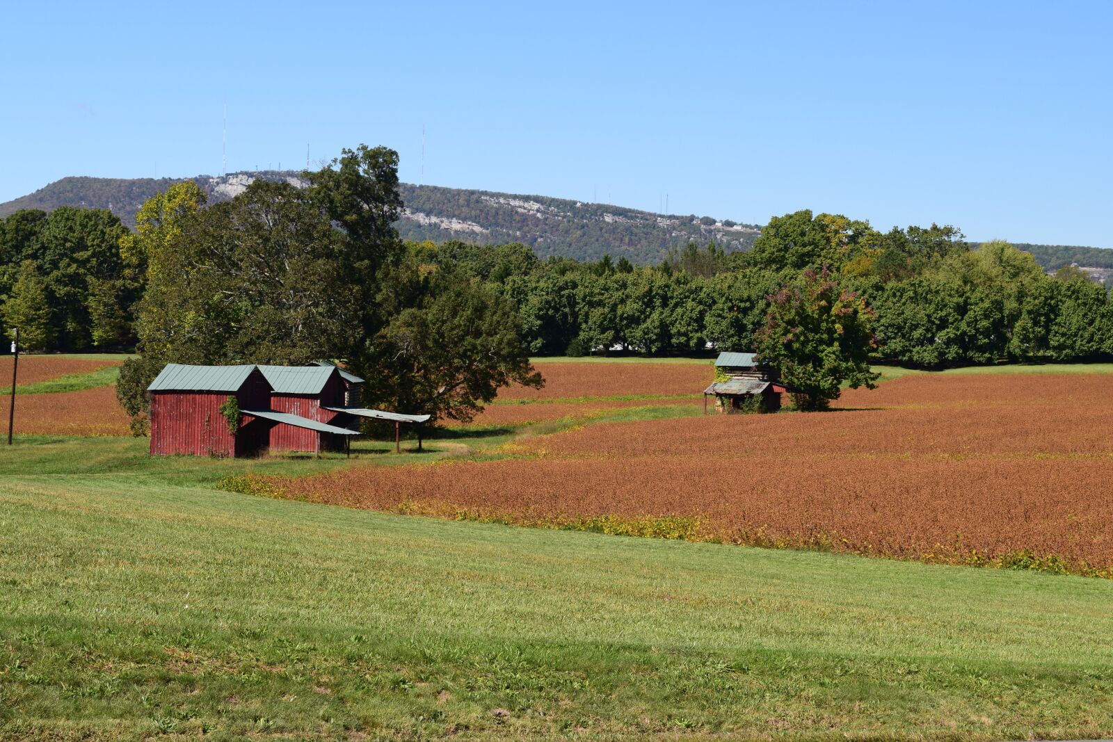Nikon D3300 sample photo. Red, barns, clay photography