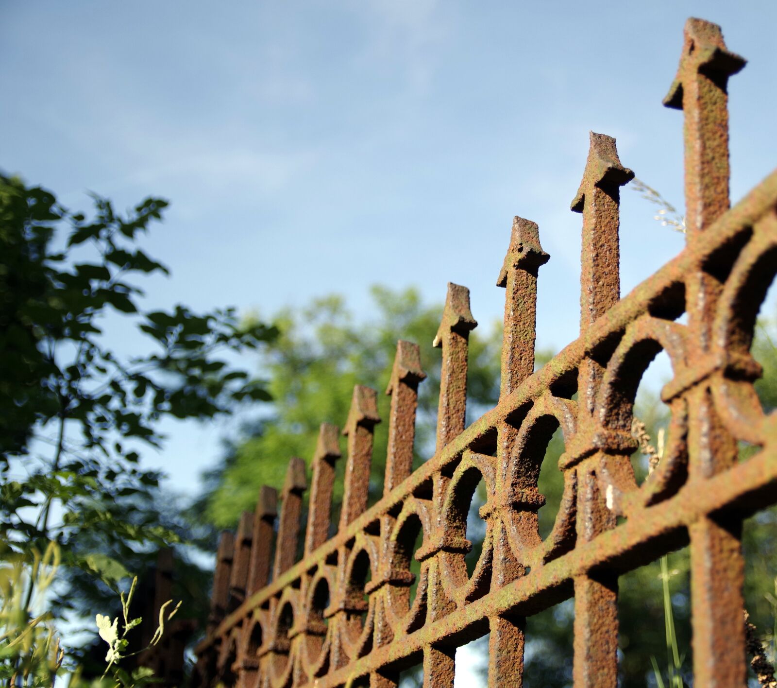 Pentax K-S2 sample photo. Fencing, accessory, the fence photography