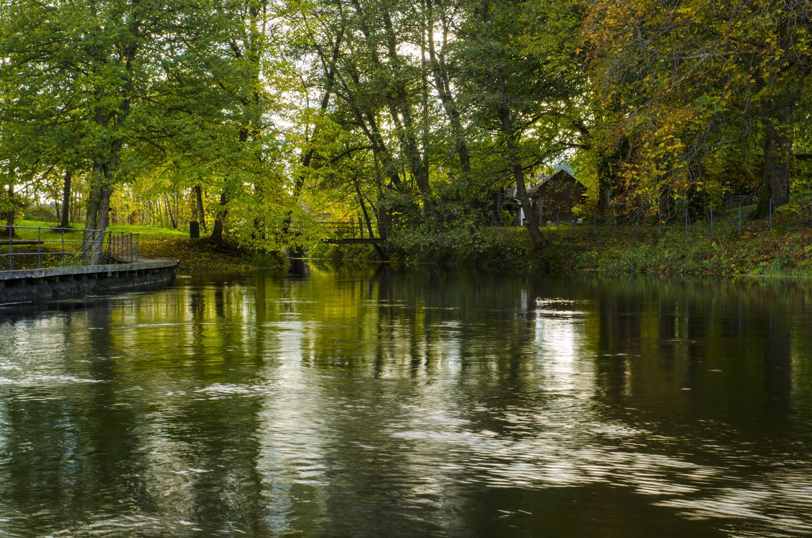 Nikon D5100 sample photo. The nature of the photography