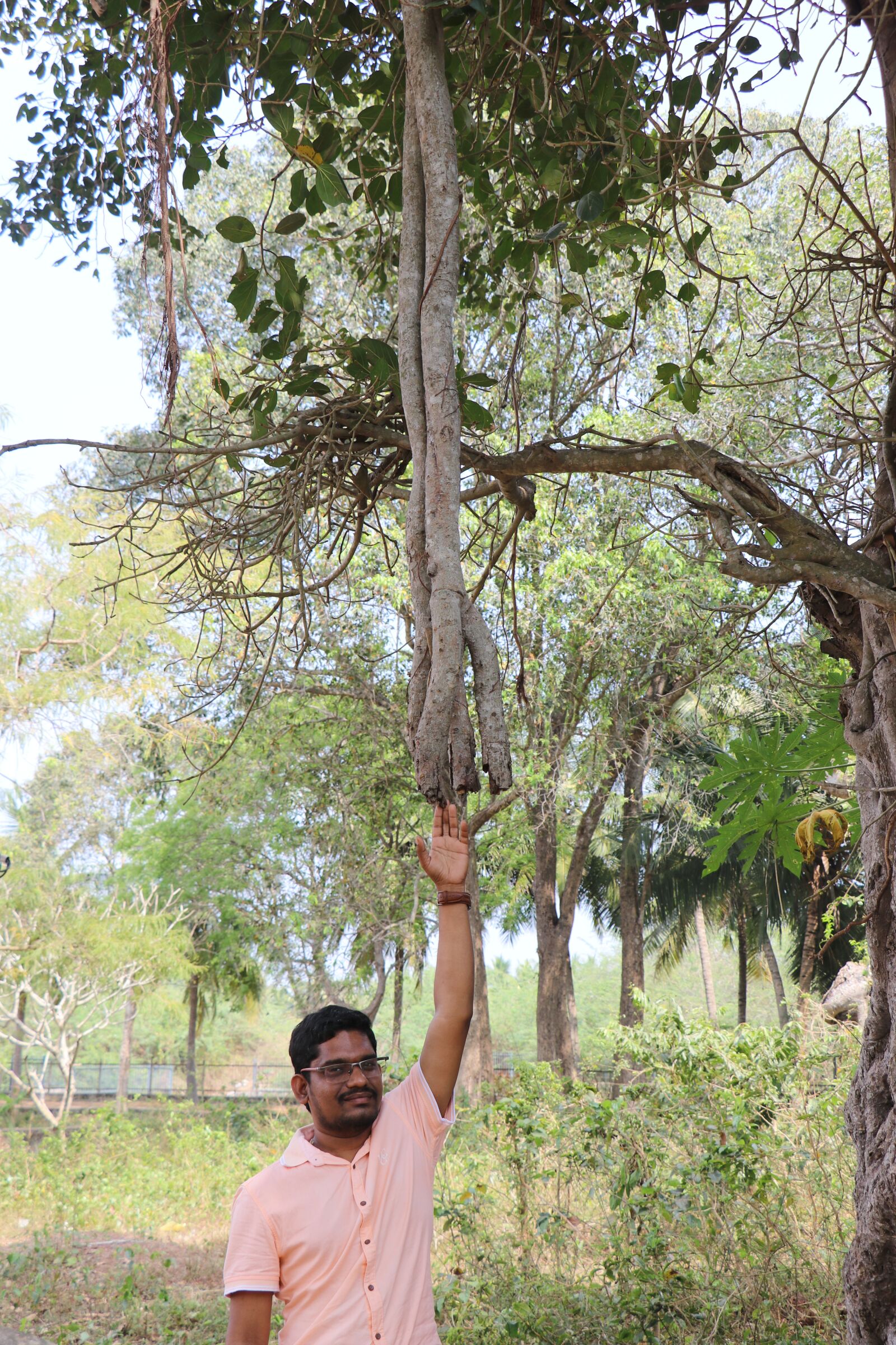 Canon EF-S 18-135mm F3.5-5.6 IS USM sample photo. Siva, sambasiva, sambasivarao photography