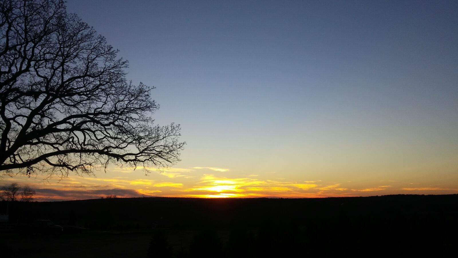LG G3 sample photo. Sunset, winter, tree photography