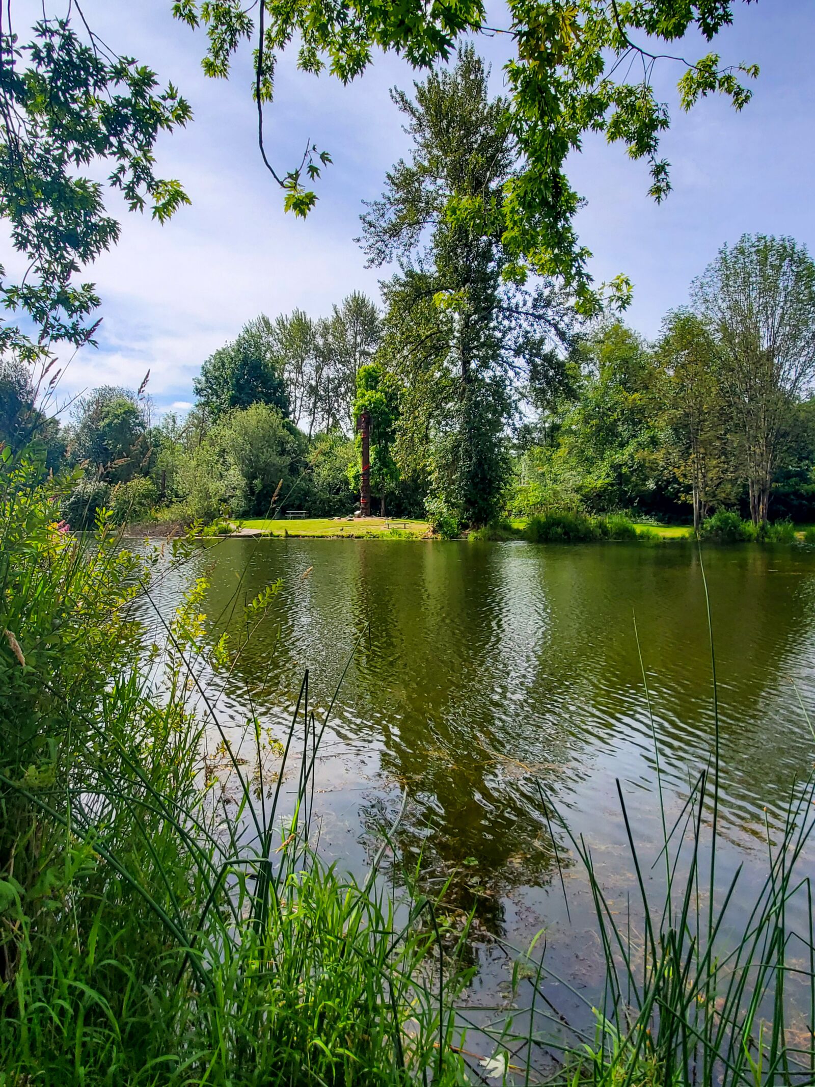 Samsung Galaxy S10e sample photo. Pond, fishing pond, green photography