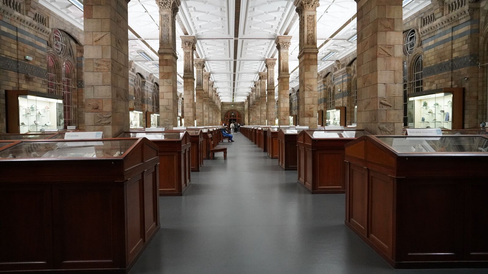 Sony E 18-135mm F3.5-5.6 OSS sample photo. Natural history museum, hall photography