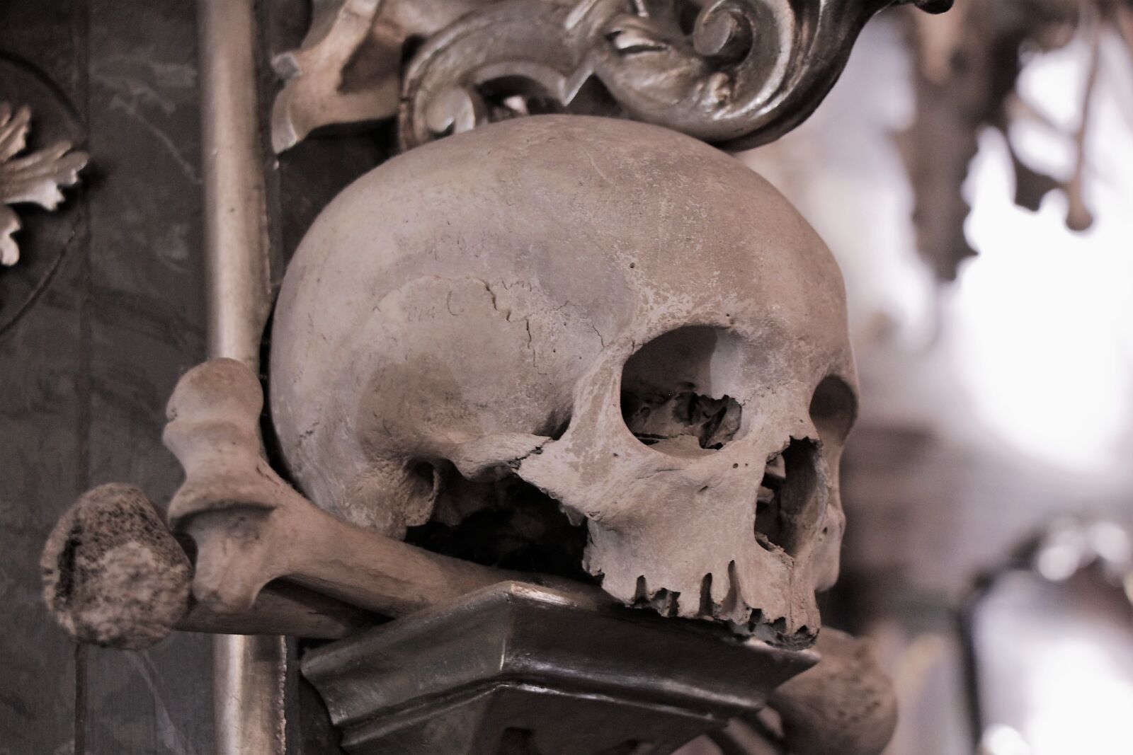 Canon EOS 550D (EOS Rebel T2i / EOS Kiss X4) sample photo. Skull, sorrow, ossuary photography