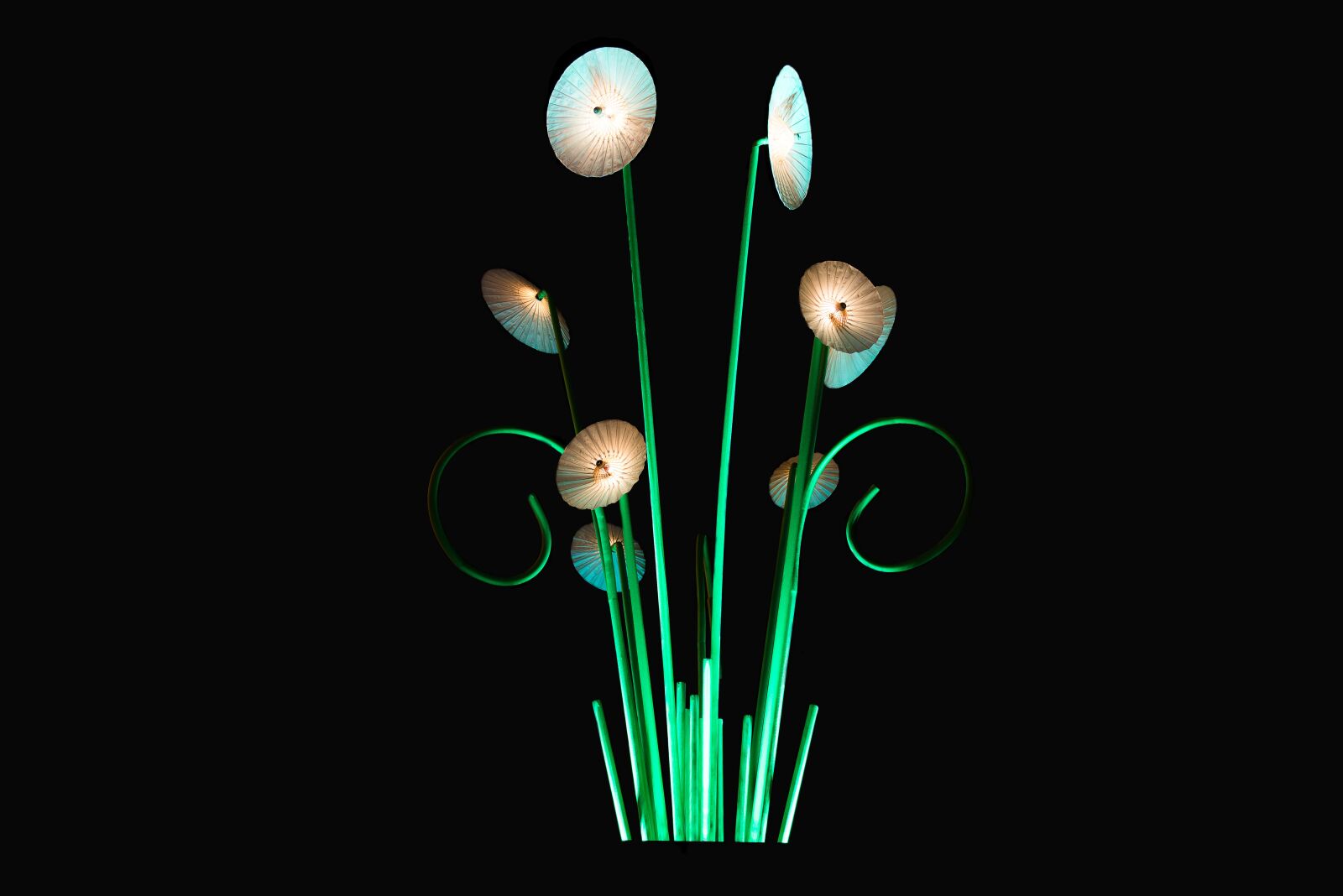 Nikon D600 sample photo. Night, light, flower photography