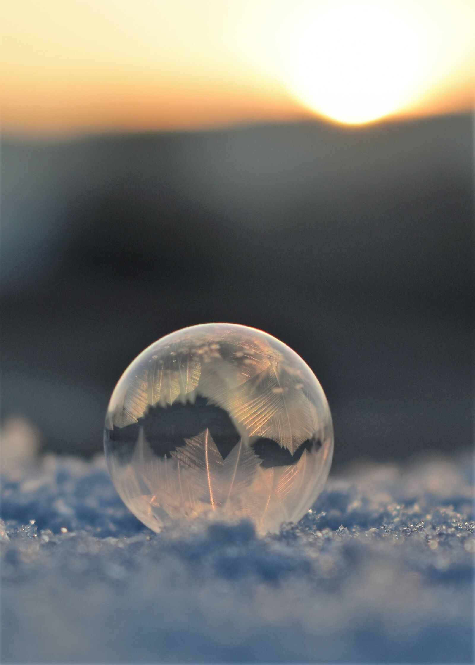 Nikon D5500 sample photo. Soap bubbles, frozen, frozen photography