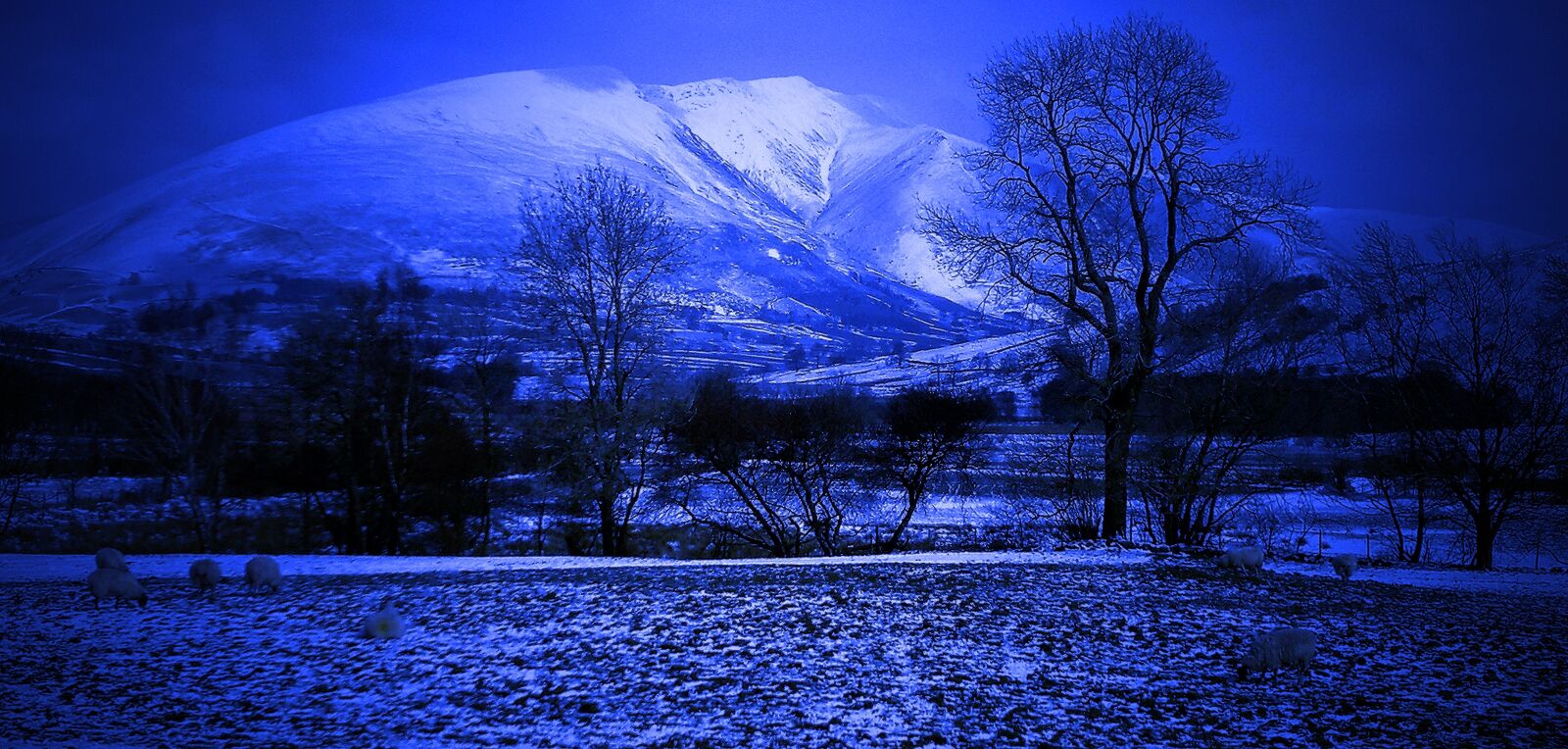 Nokia N8-00 sample photo. Snow, mountain, winter photography