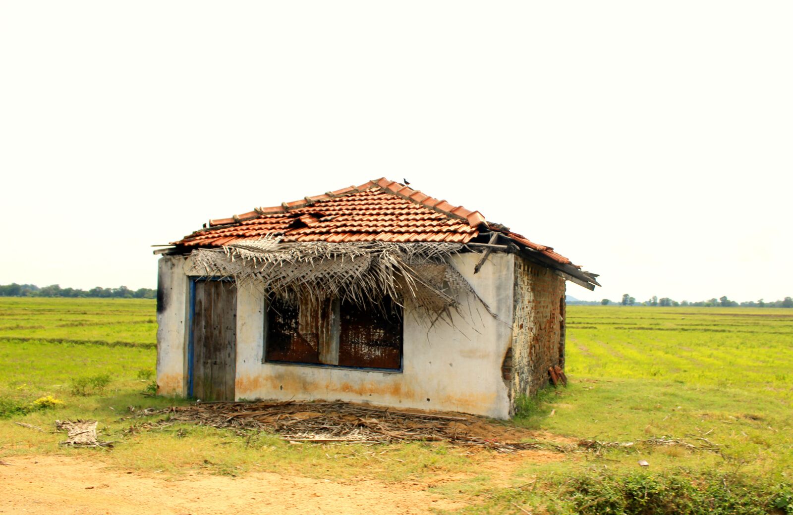 Canon EOS 1300D (EOS Rebel T6 / EOS Kiss X80) sample photo. Old, house, home photography
