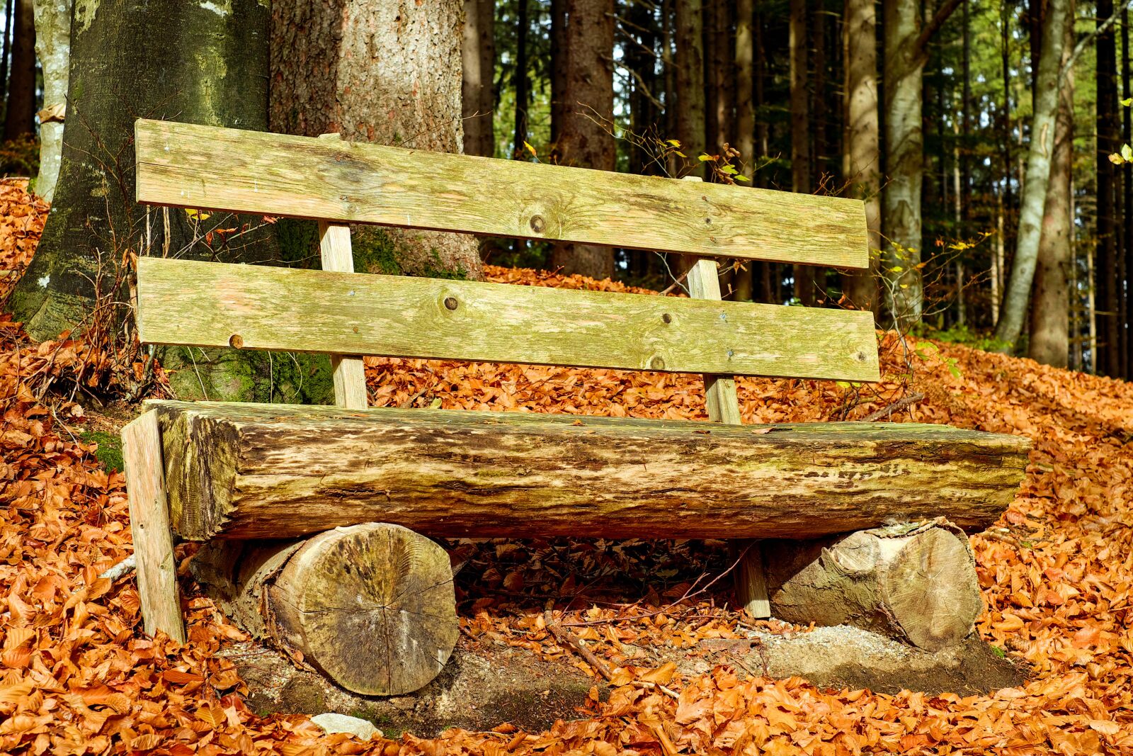 Fujifilm X-T10 + Fujifilm XF 35mm F1.4 R sample photo. Bank, bench, wooden bench photography