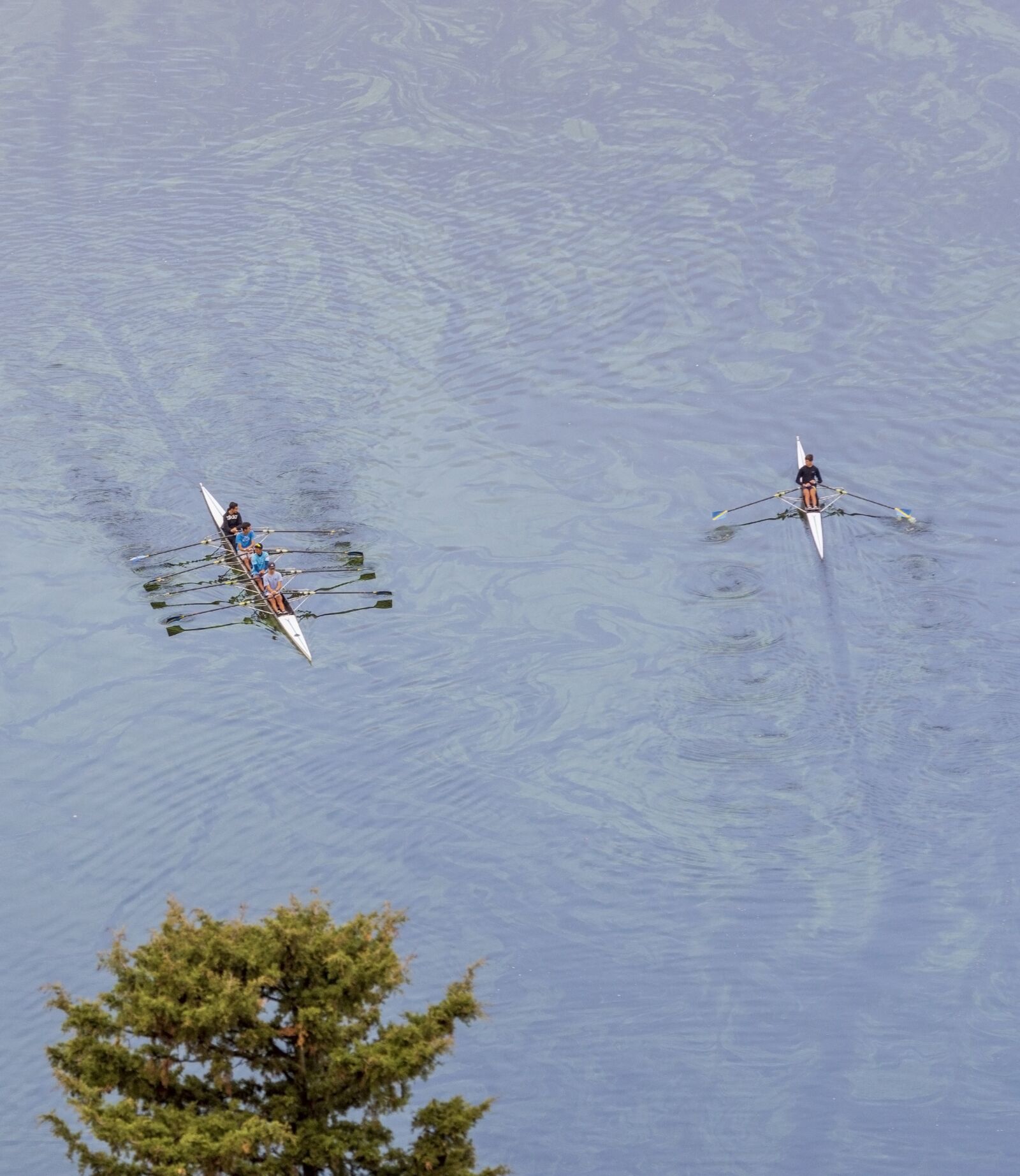 Nikon D7200 sample photo. Rowers, kastoria, lake photography