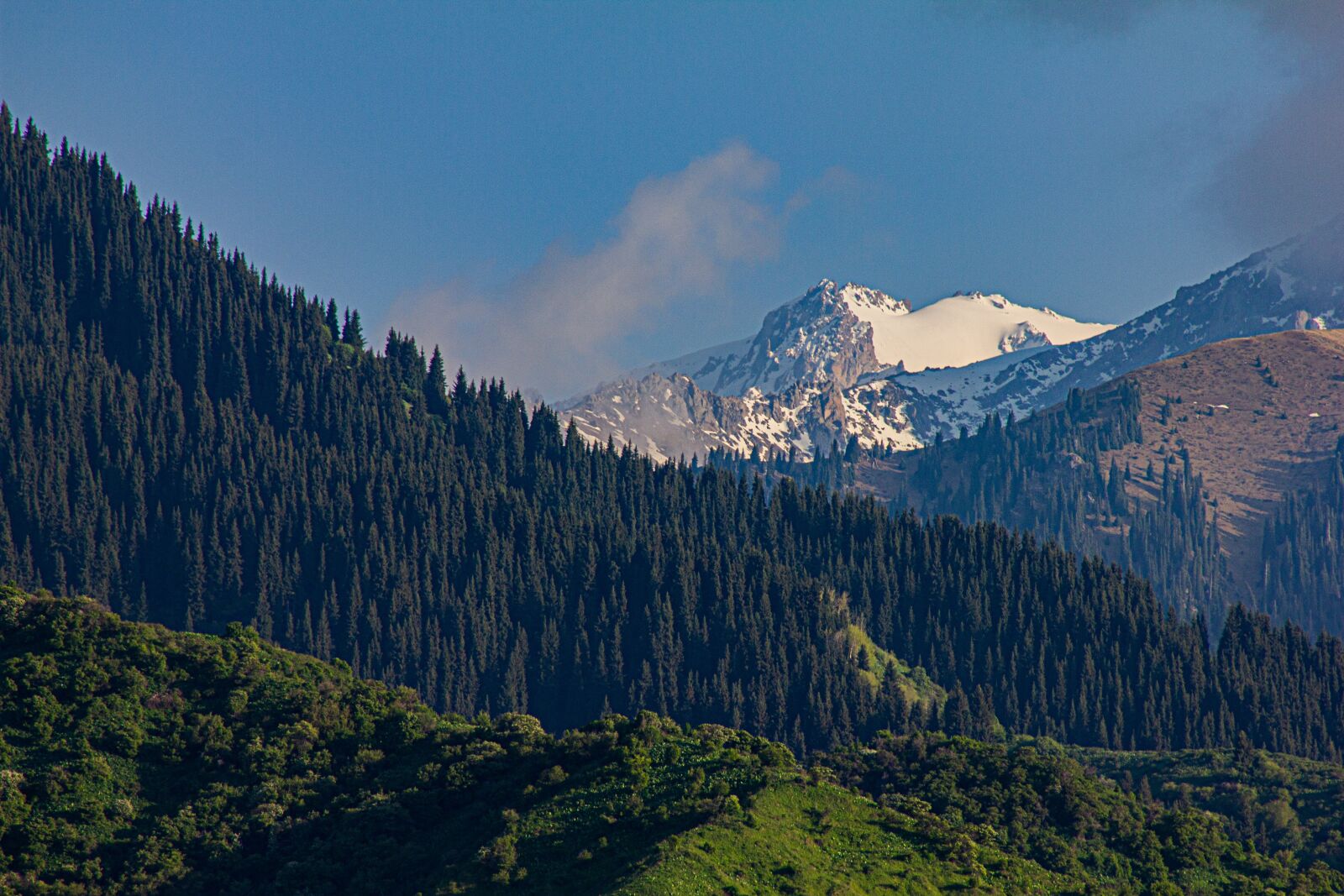 Canon EF75-300mm f/4-5.6 sample photo. Mountains, forest, sky photography
