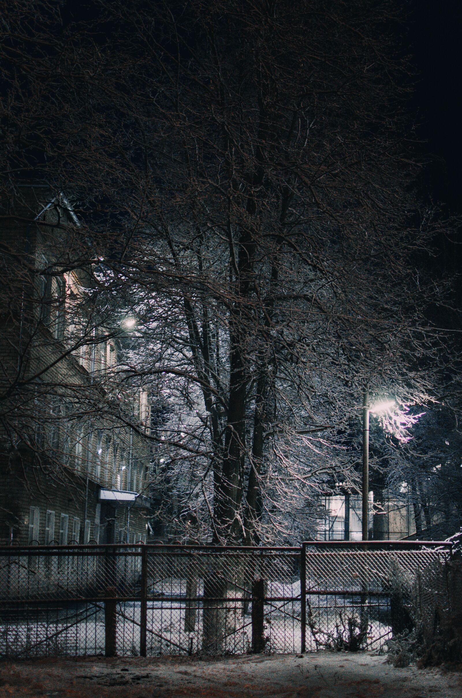 Nikon D7000 sample photo. Winter, snow, city photography