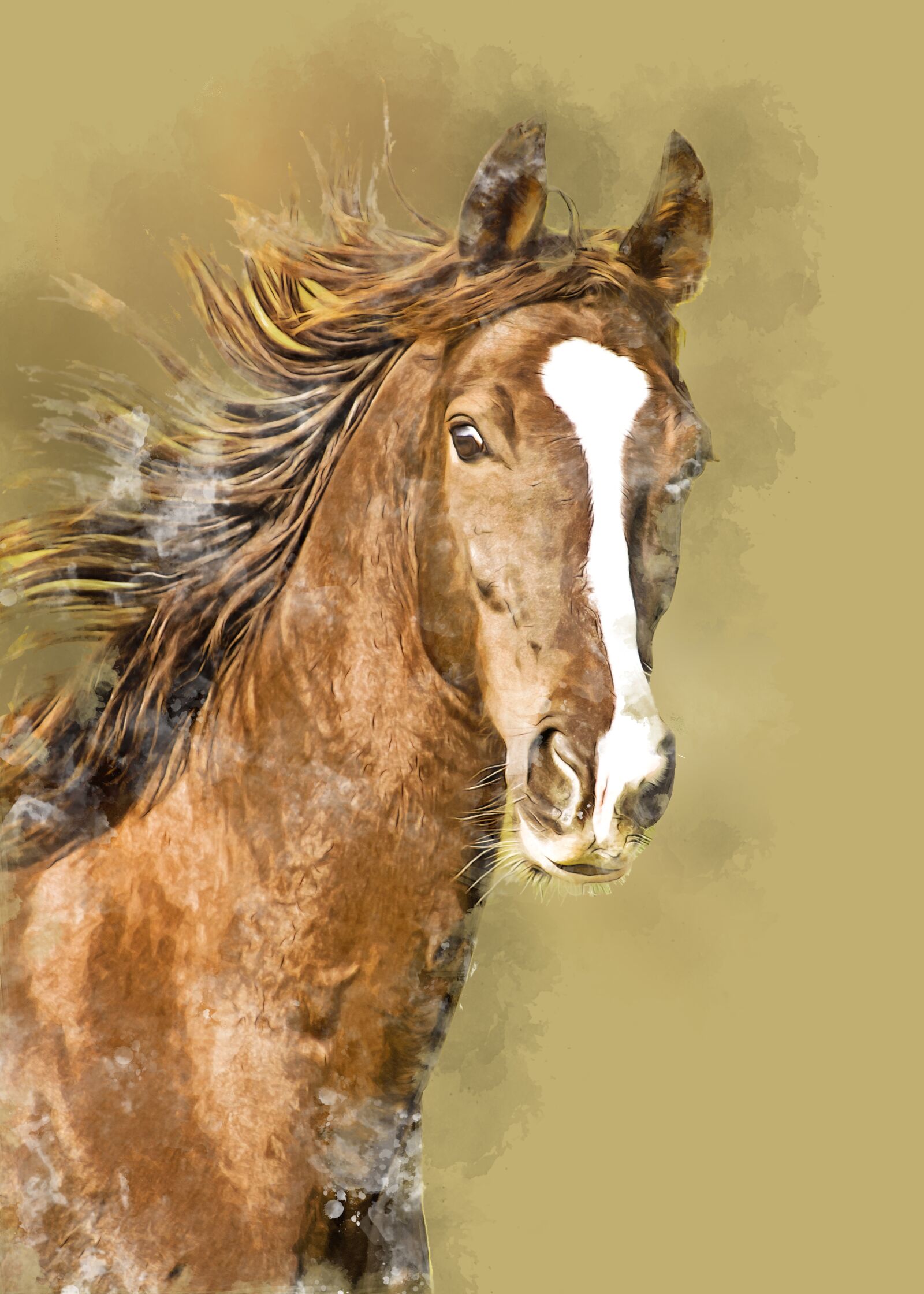 Nikon D3300 sample photo. Horse, animal, pure bred photography