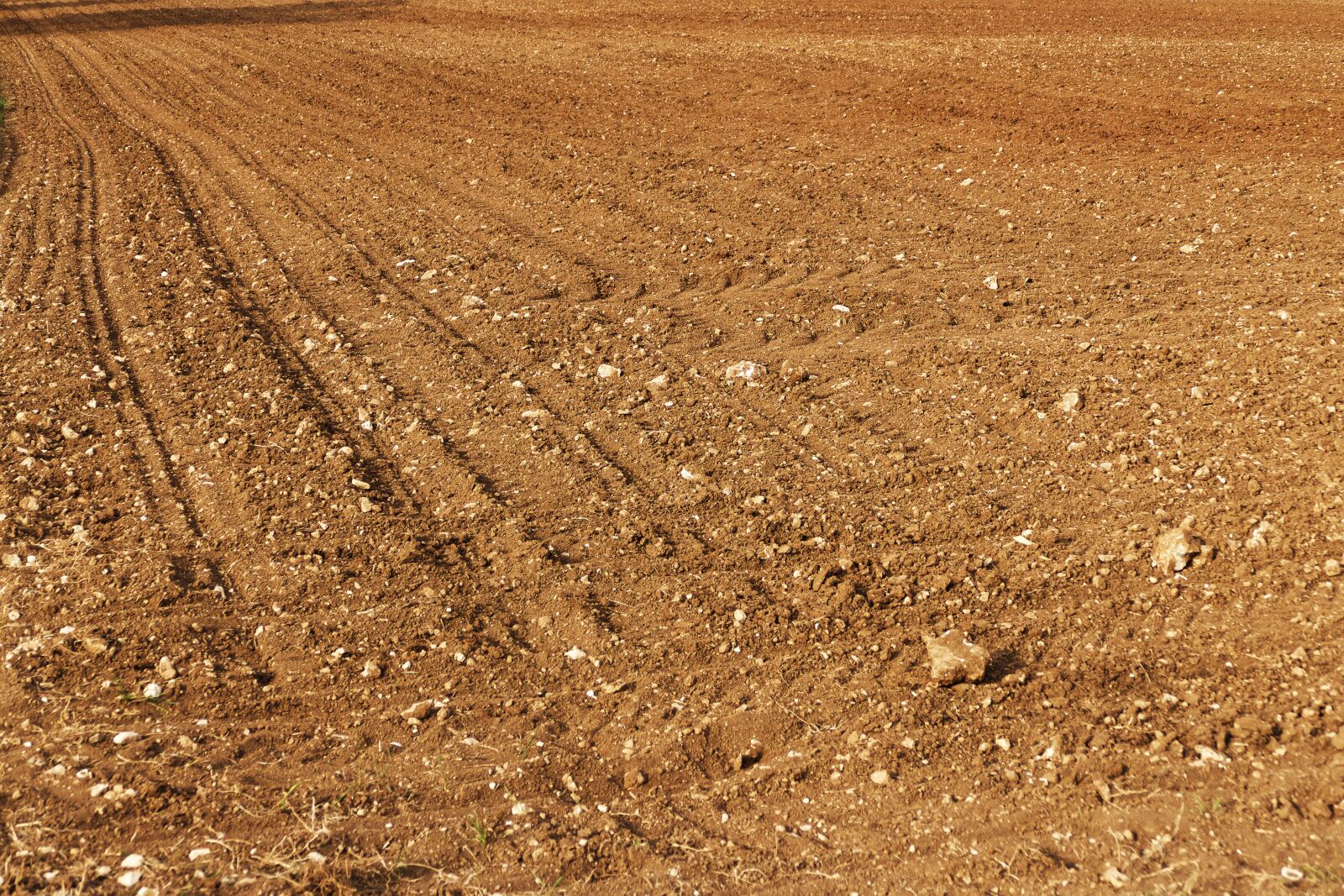 Panasonic Lumix DMC-FZ1000 sample photo. Field, arable, steinig photography