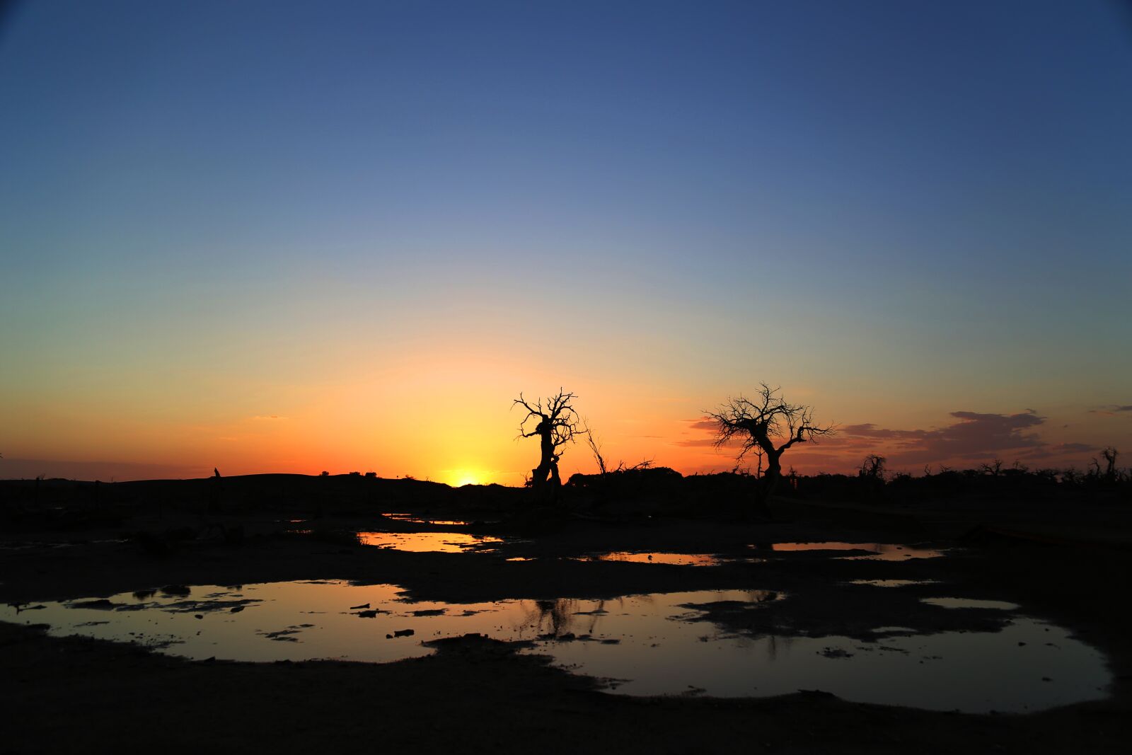 Canon EOS 6D + Canon EF 24-105mm F4L IS USM sample photo. Sun, sunset, at dusk photography