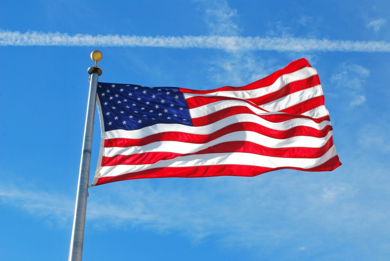 Nikon D60 sample photo. Flag, usa, america photography