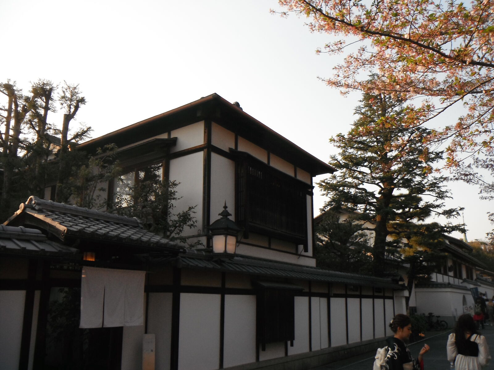 FujiFilm Finepix Z90 (Finepix Z91) sample photo