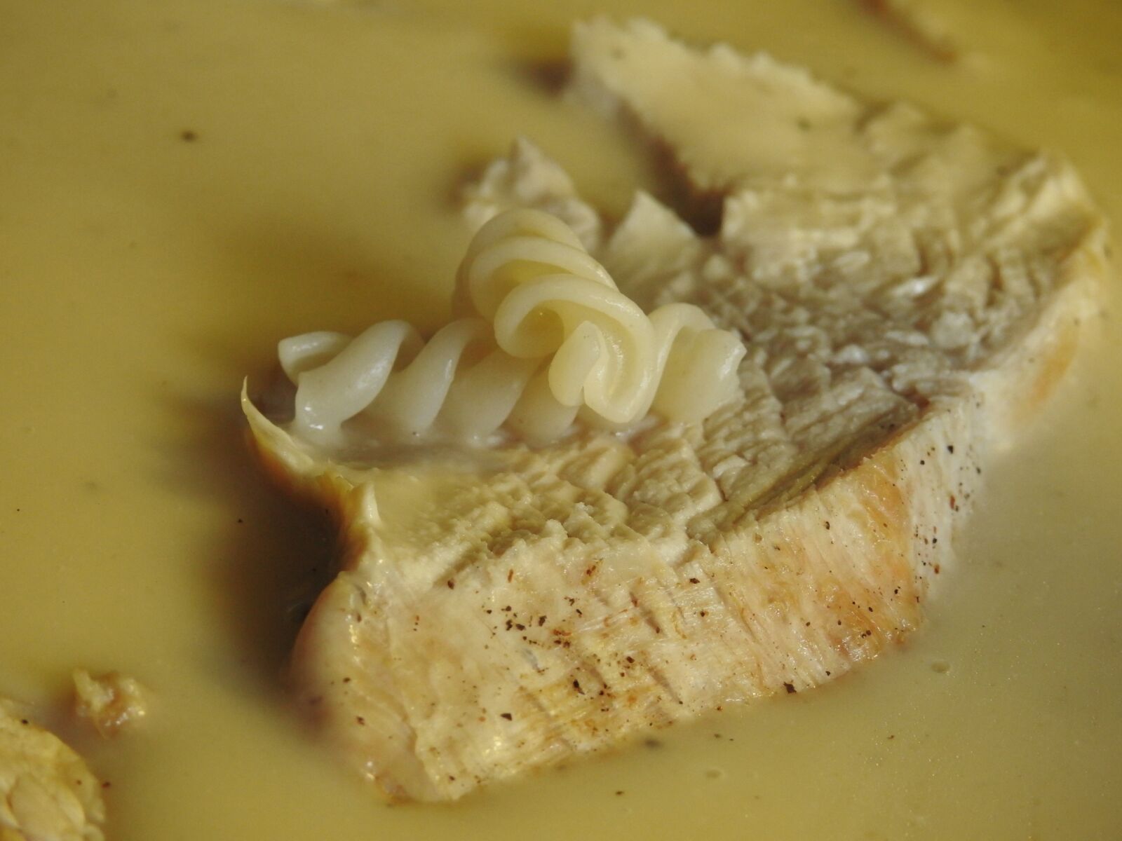 Nikon Coolpix P900 sample photo. Noodles, spiral pasta, pasta photography