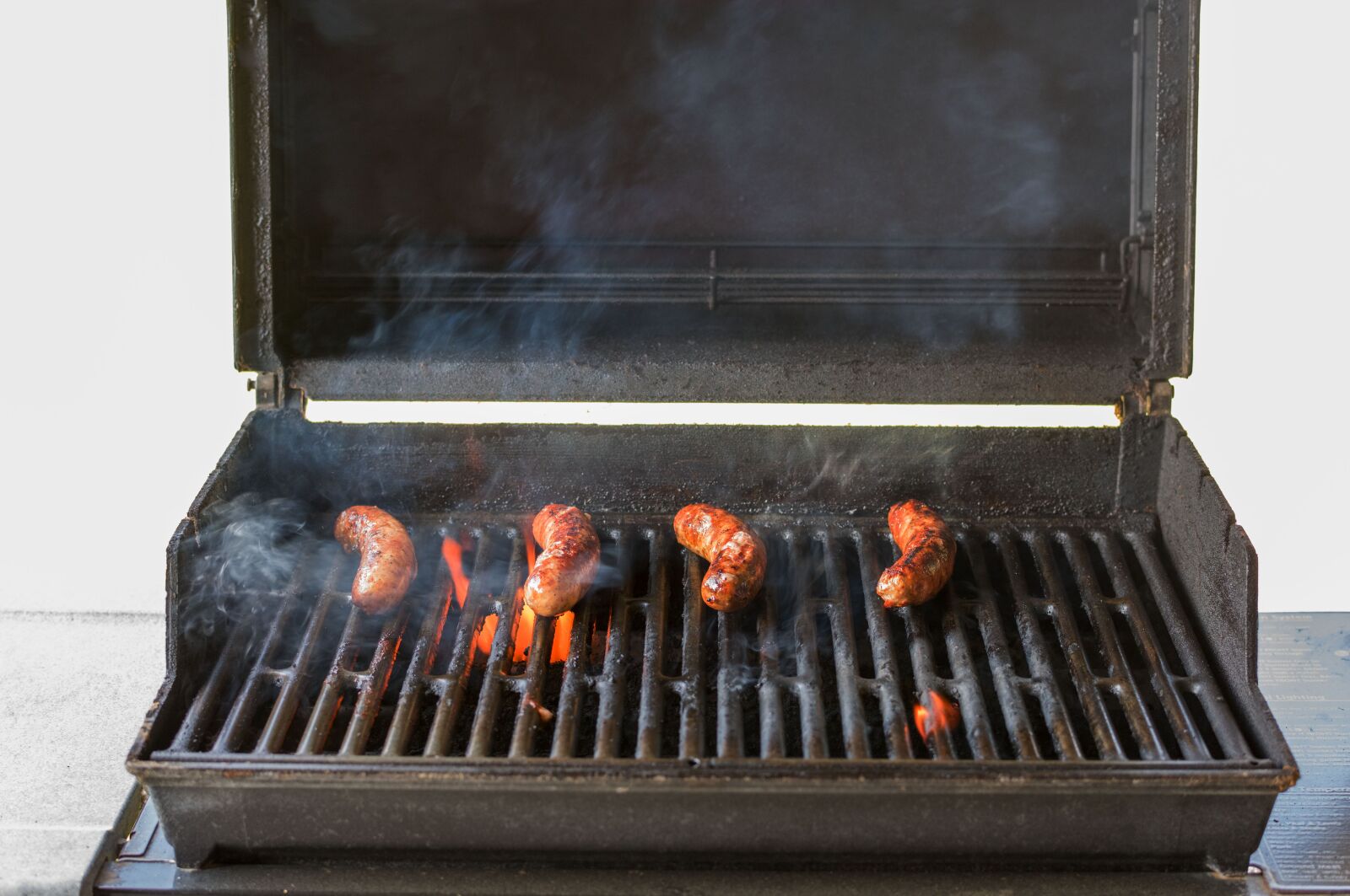 Nikon D810 sample photo. Grill, brats, cookout photography