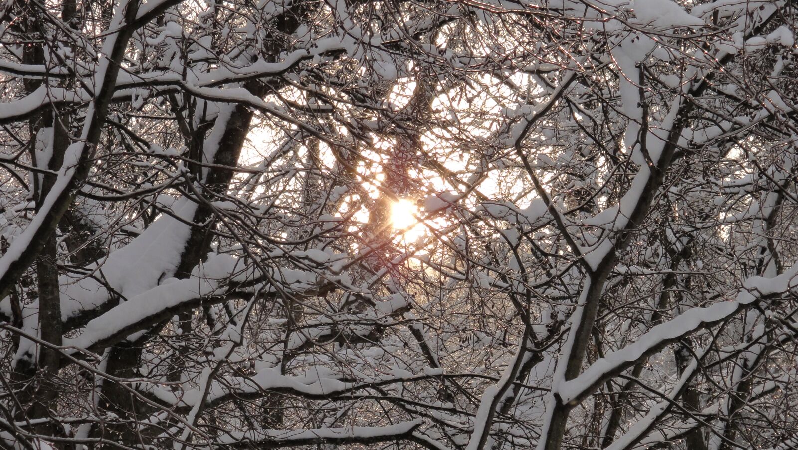 Sony DSC-TX7 sample photo. Nature, winter, landscape photography