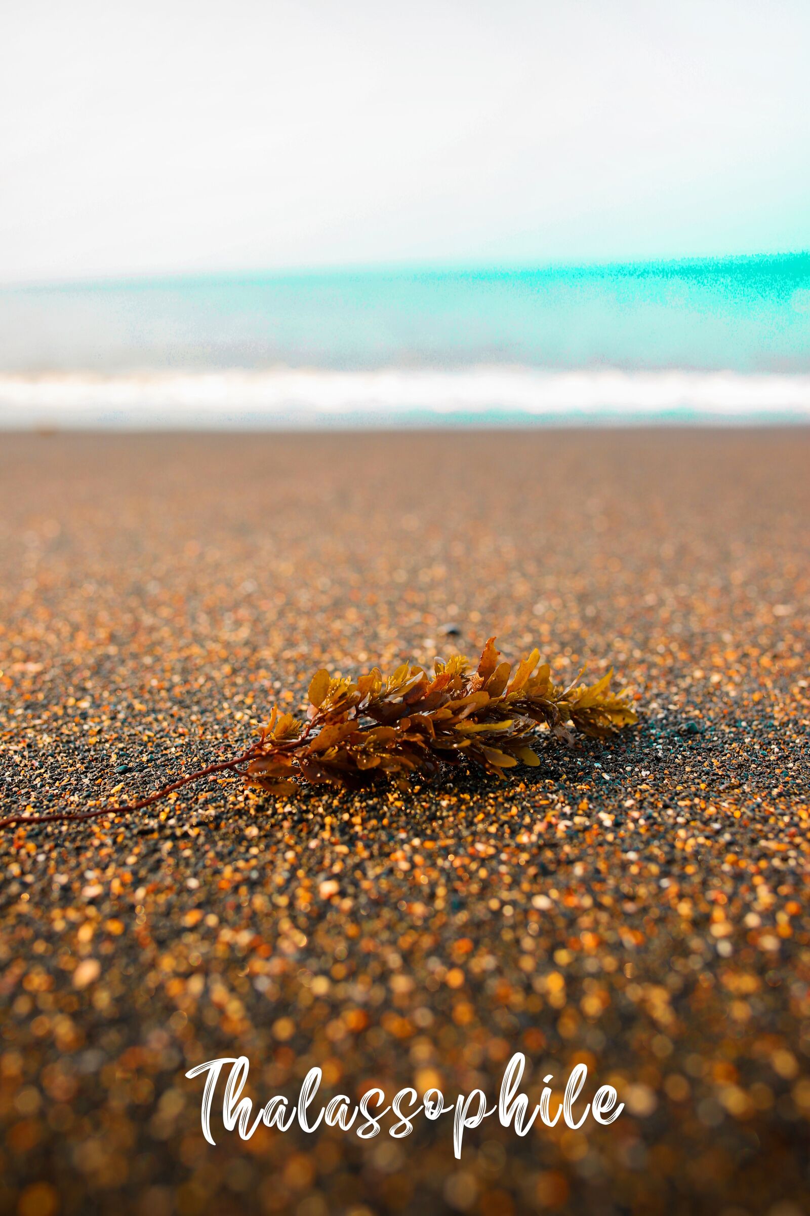 Canon EOS 6D Mark II sample photo. Sea, ocean, water photography